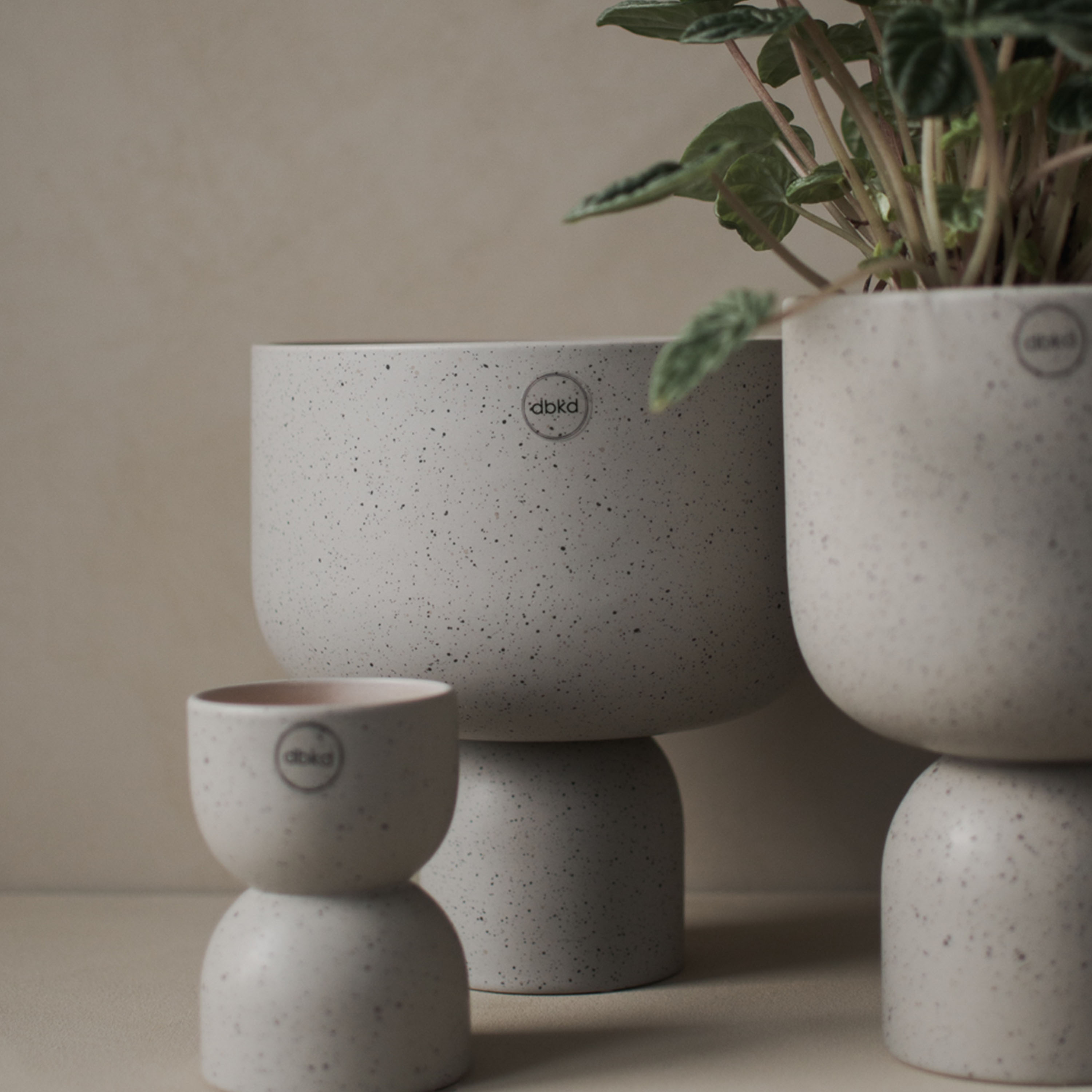 DBKD Post Kruka Mole Dot Small