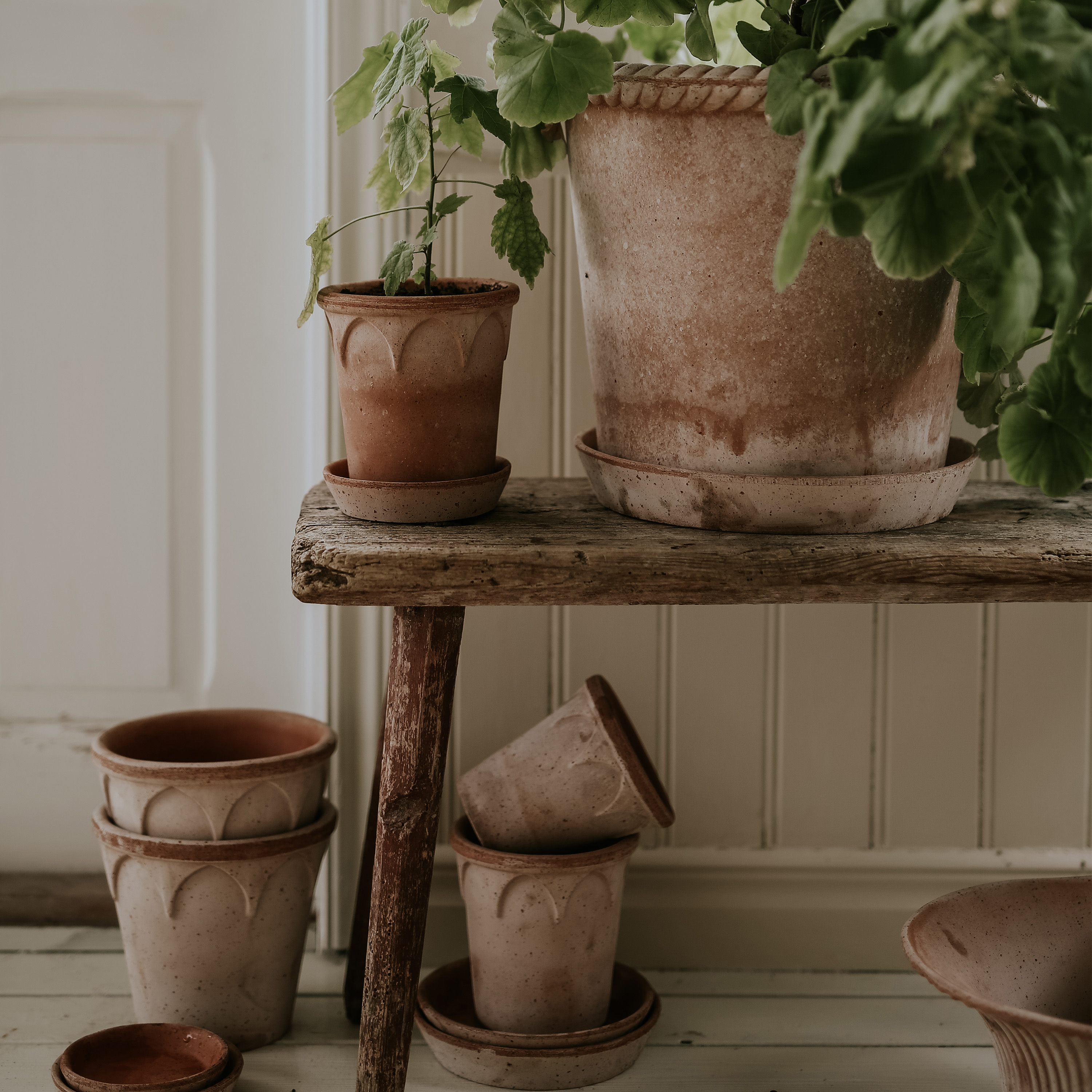 Bergs Potter Elizabeth-Topf mit Untertasse rohe rosa Terrakotta Ø16