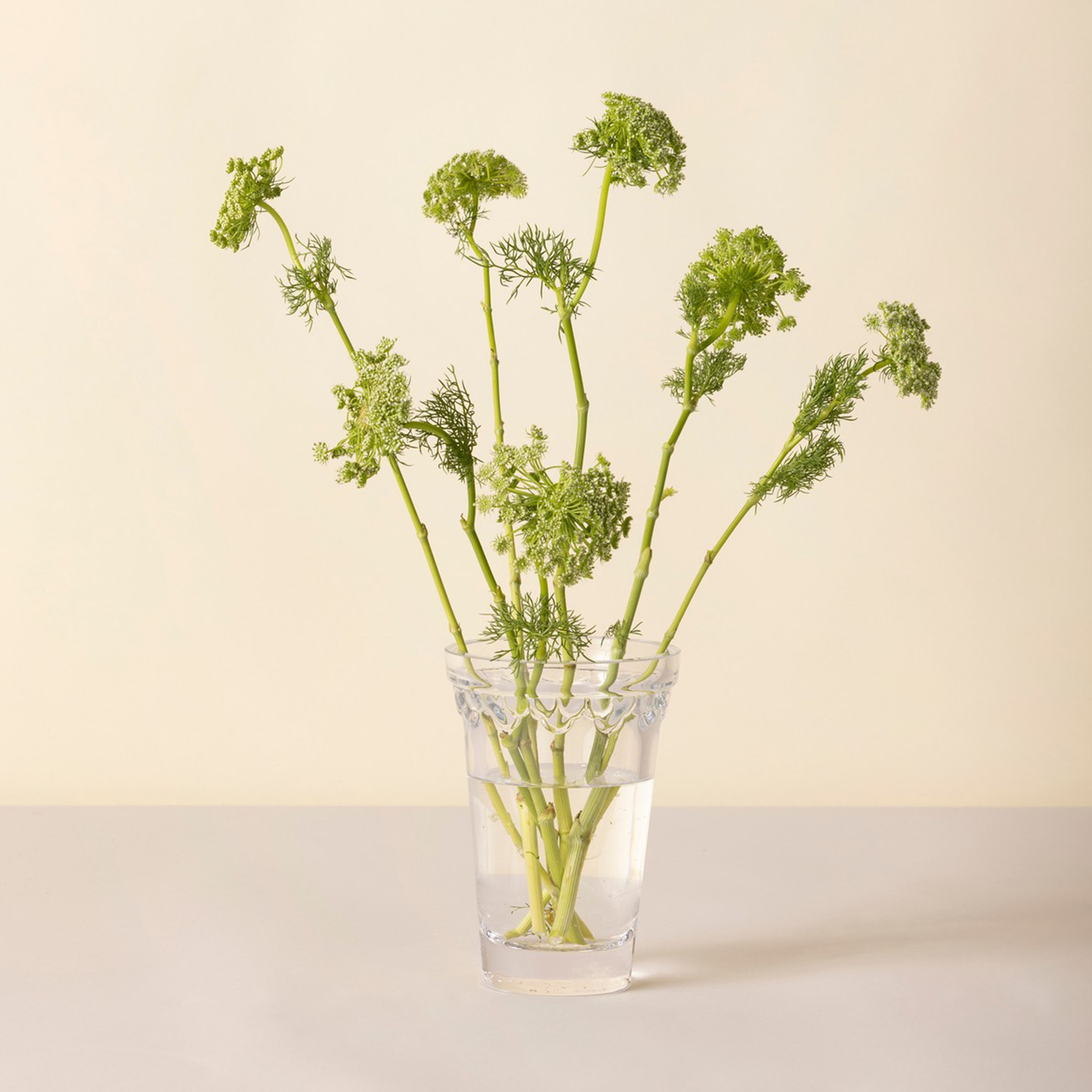 Bergs Potter Københavner Maljakko Clear Ø13