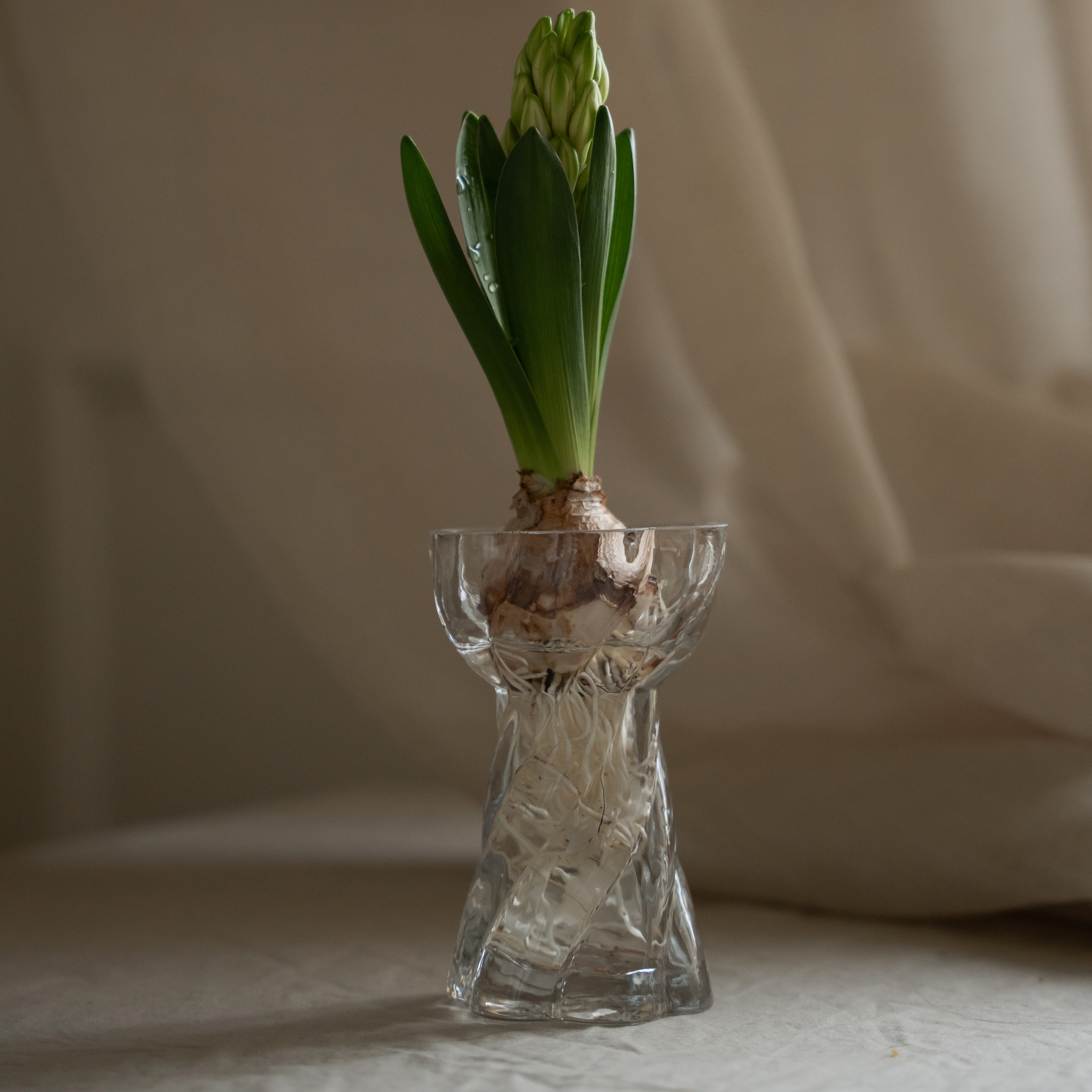 Cooee Design Twist Bulb Vase Glass 16 cm