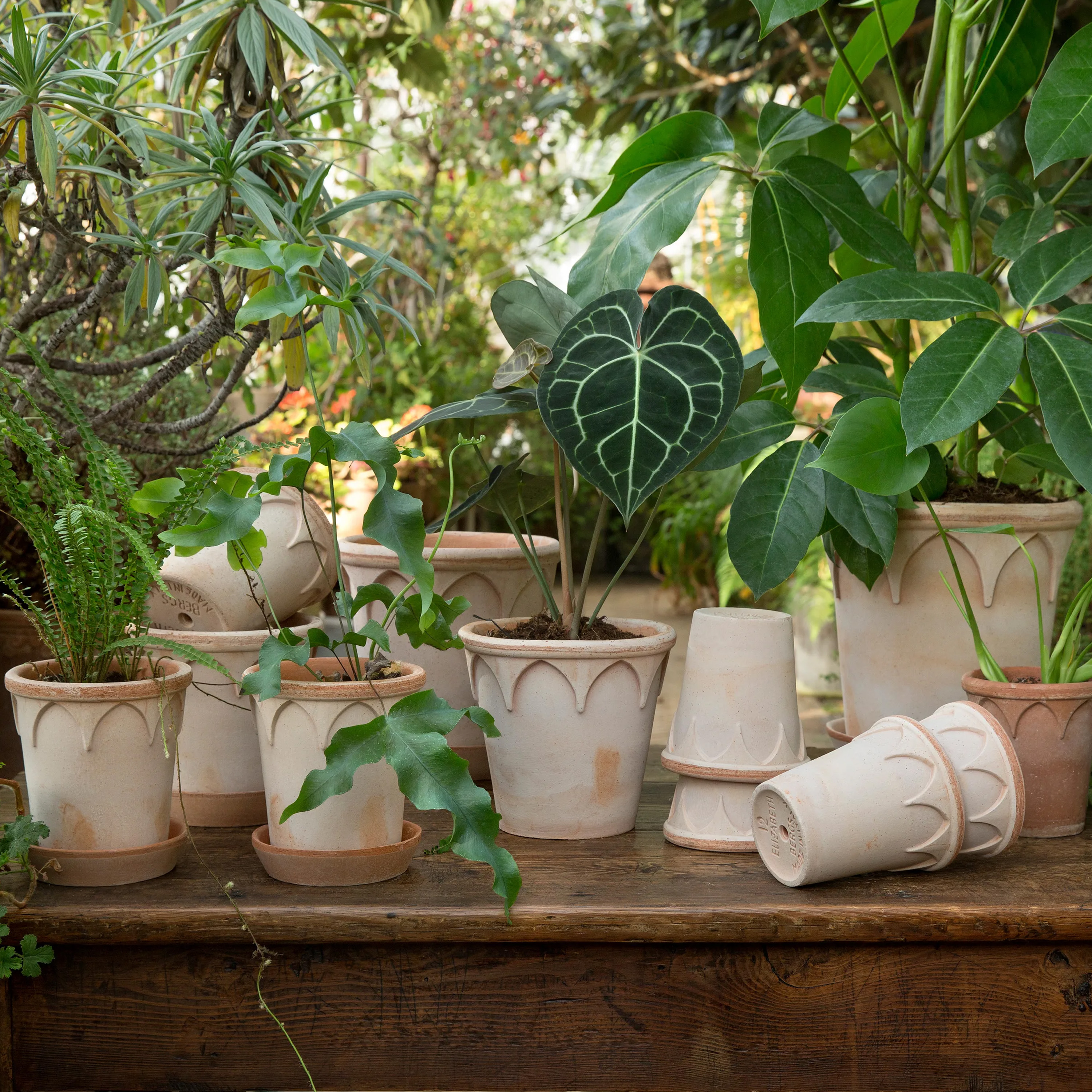 Bergs Potter Elizabeth Topf mit Untersetzer Raw Rosa Terrakotta Ø18