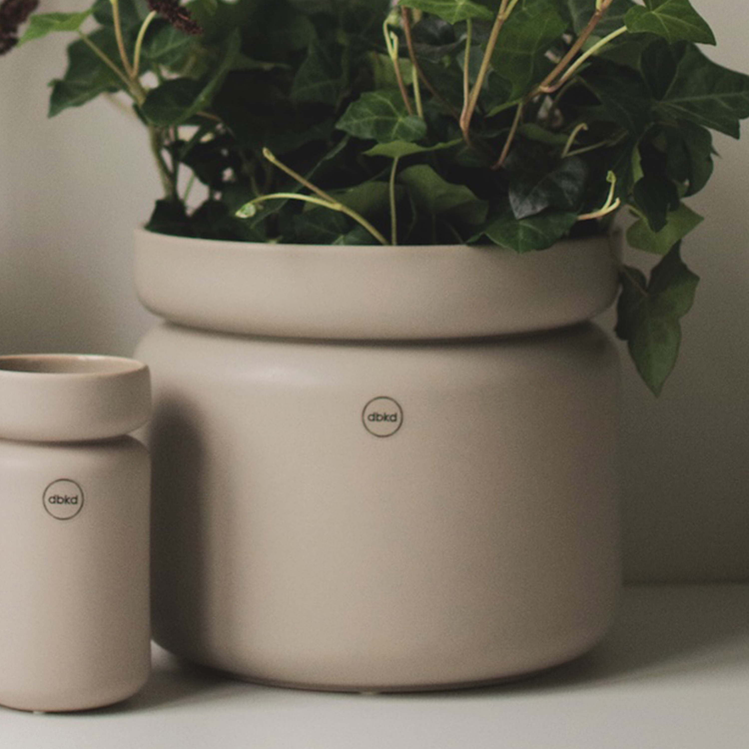 DBKD Neck Blumentopf Mole Ø22