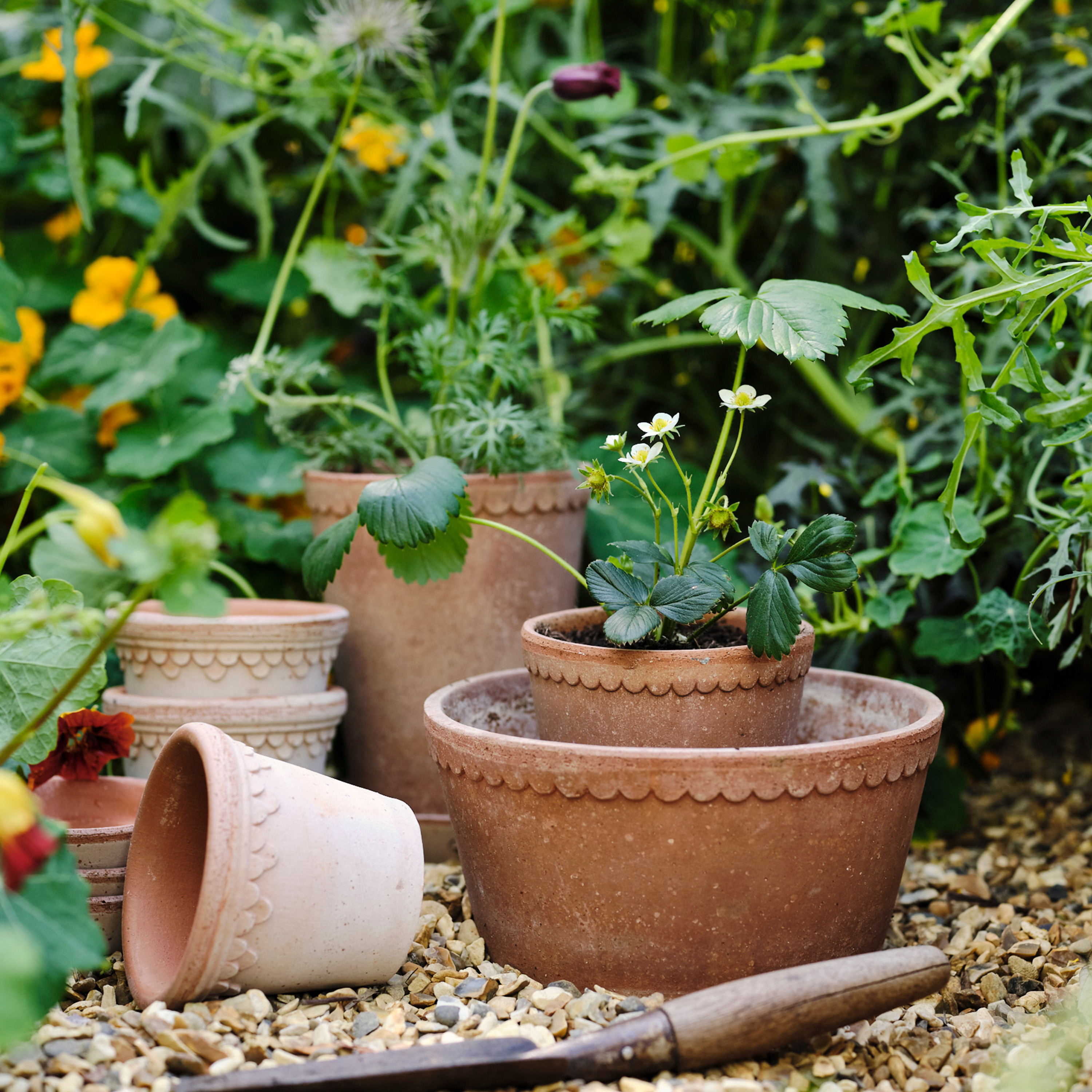 Bergs Potter Helena Low Topf med Untersetzer Raw Rosa Terrakotta Ø21