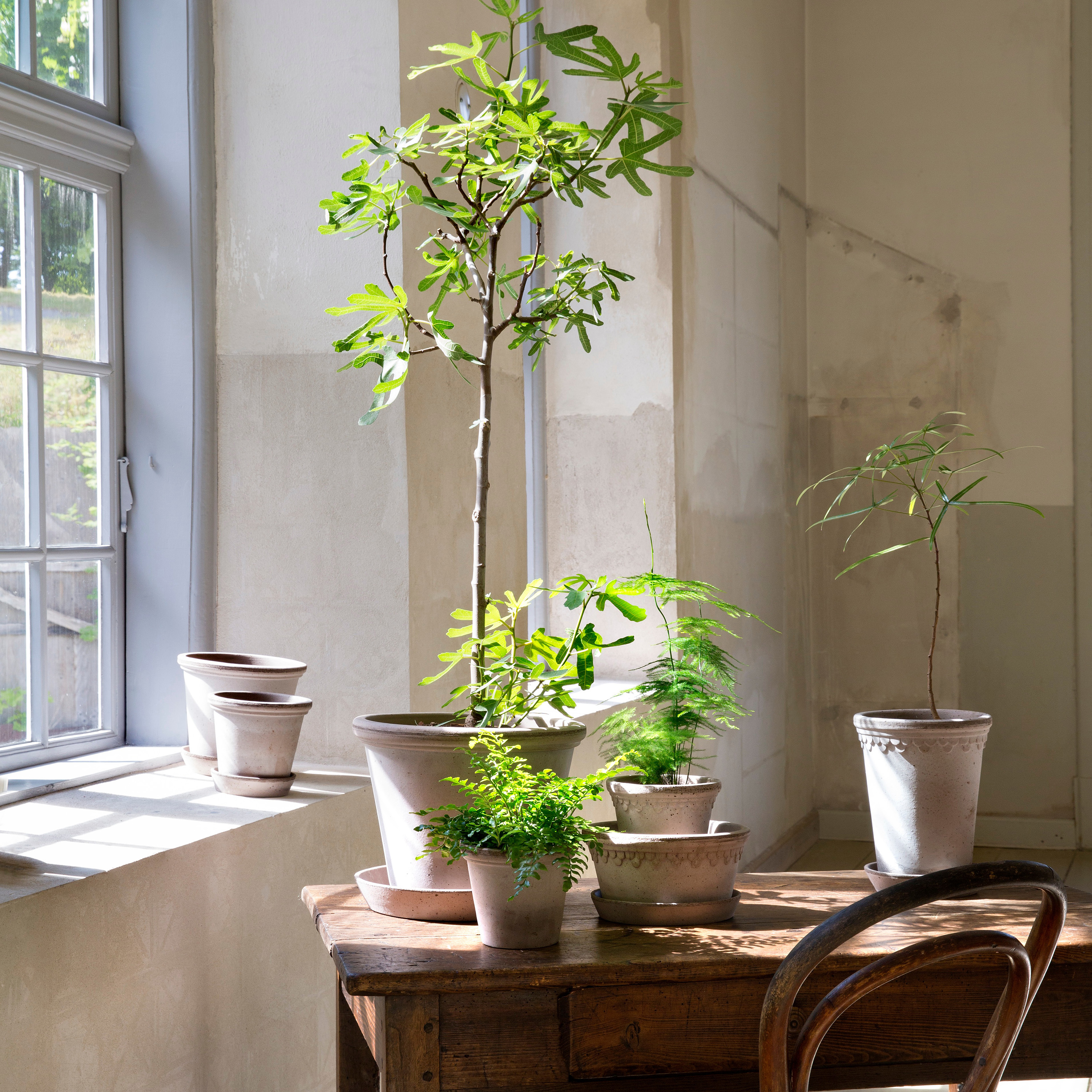 Bergs Potter Københavner Hoher Topf mit Untertasse Rohgrauer Terrakotta Ø14