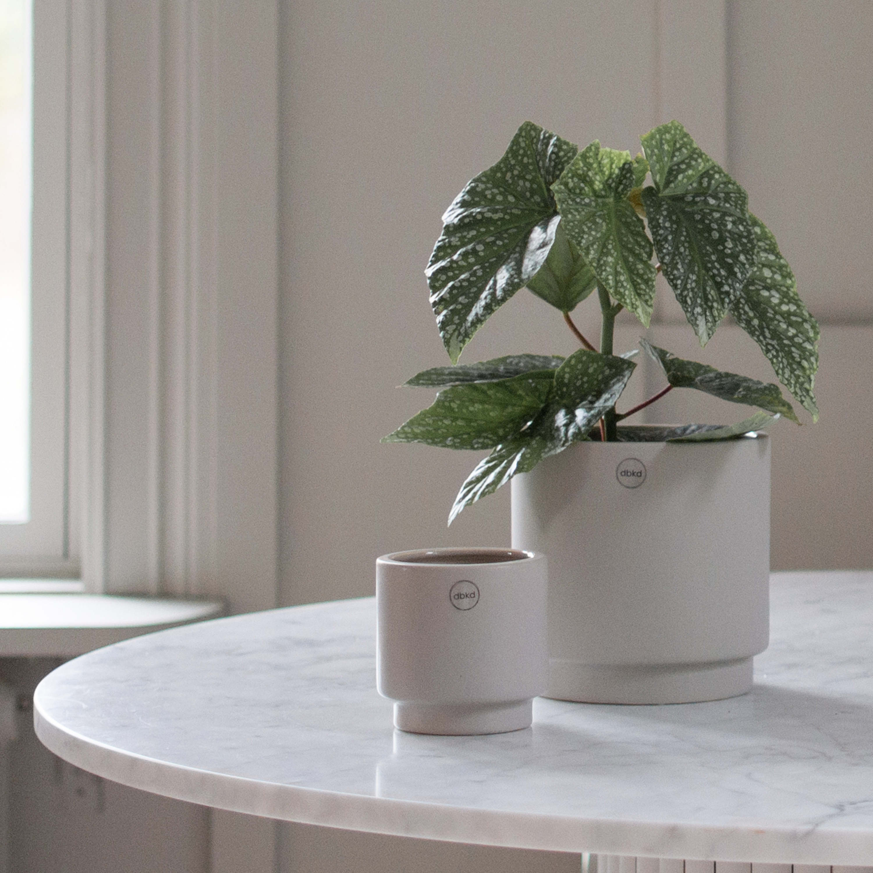 DBKD Solid Kruka Mole Medium