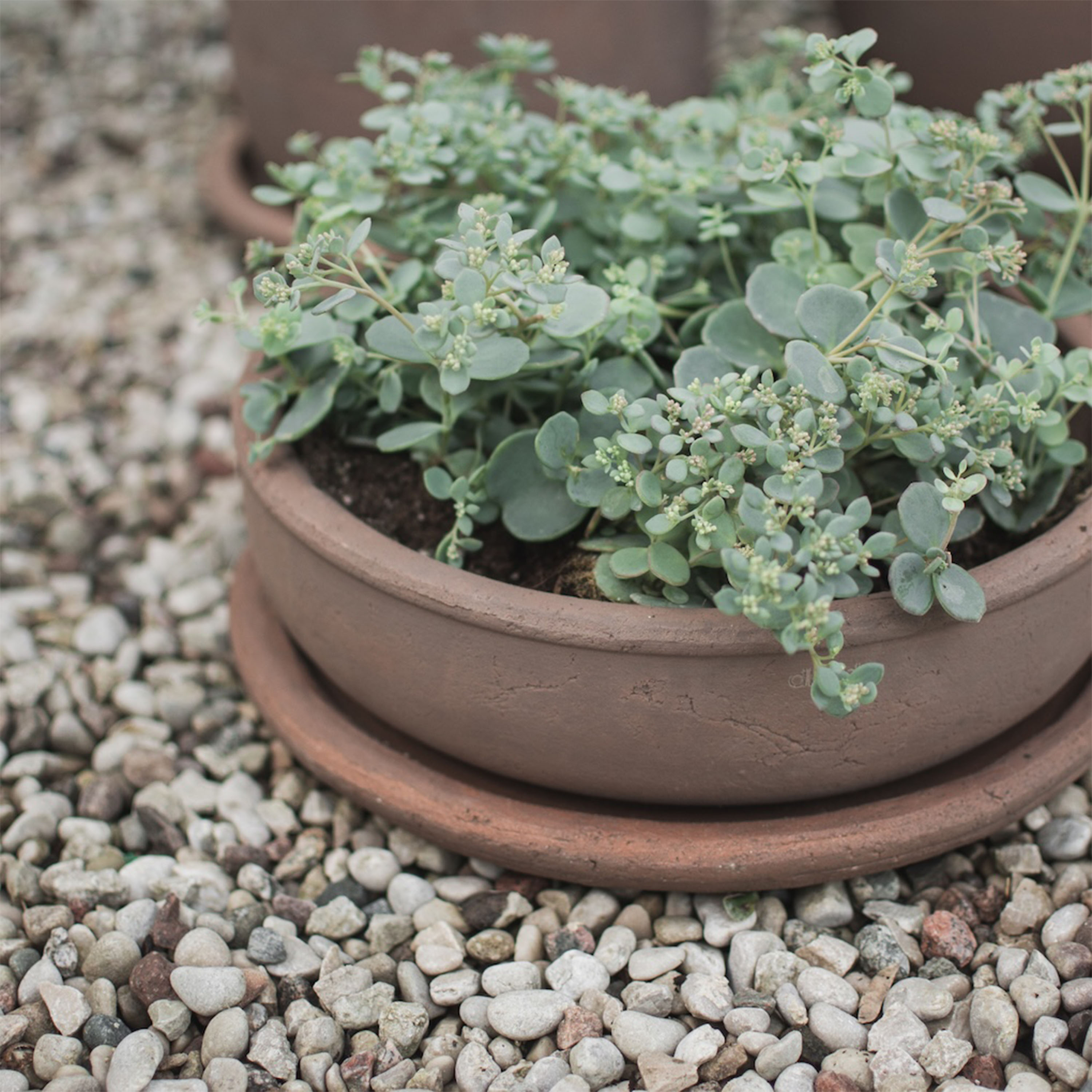 DBKD Terra Skål Brown Ø30