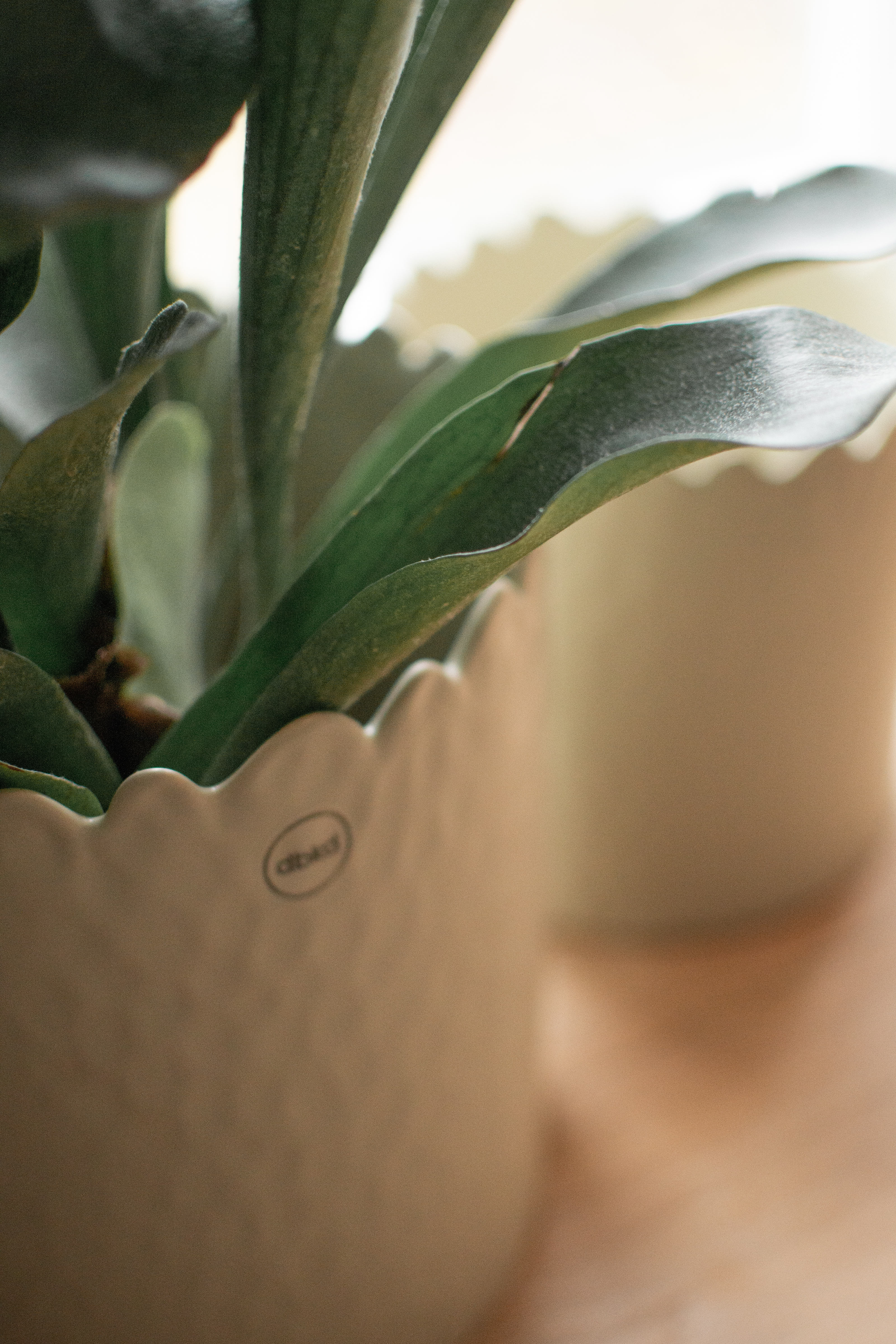 DBKD Flowery Kruka Creme Large