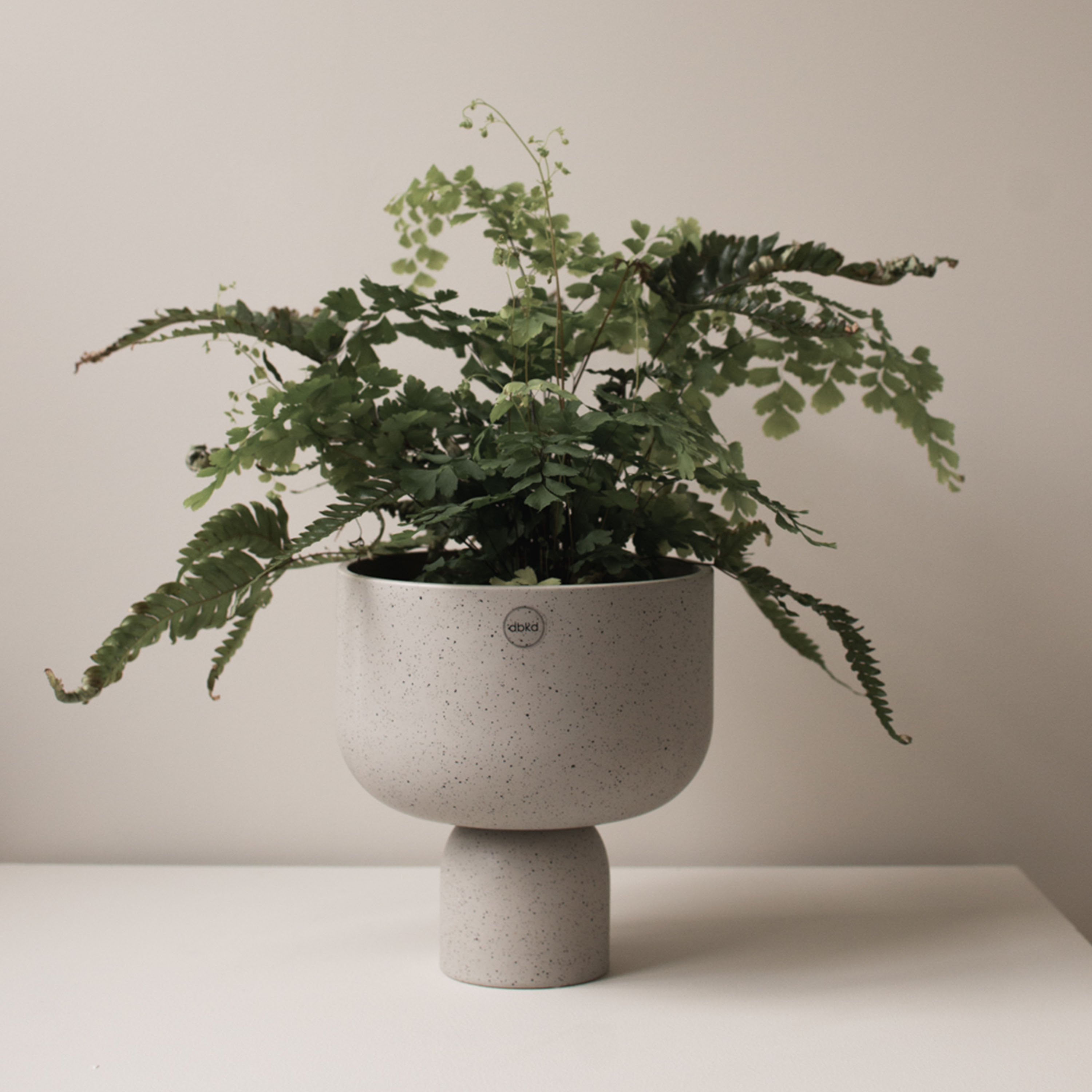 DBKD Post Kruka Mole Dot Large