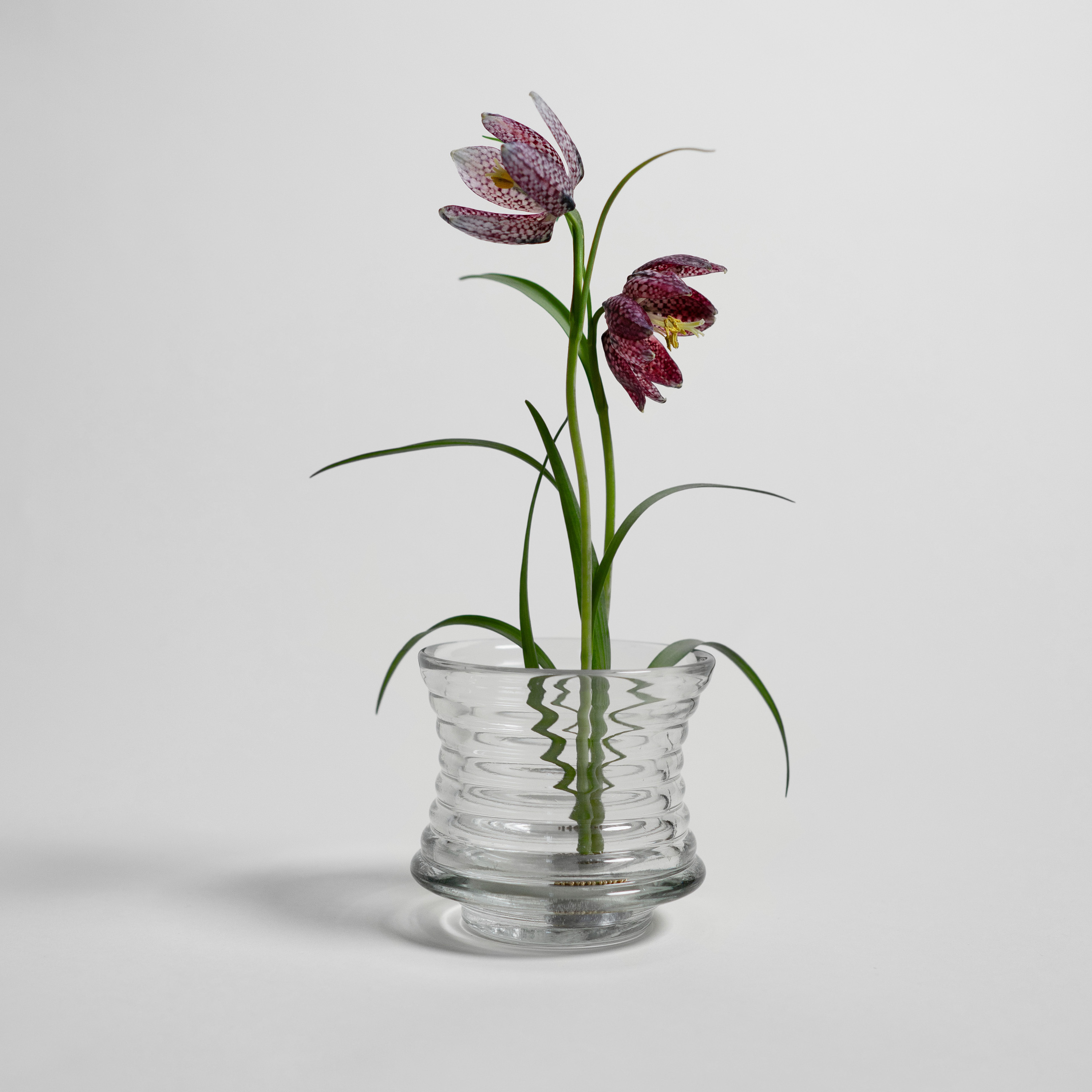 Hein Studio Kenzan Hanataba Harmaa 23mm