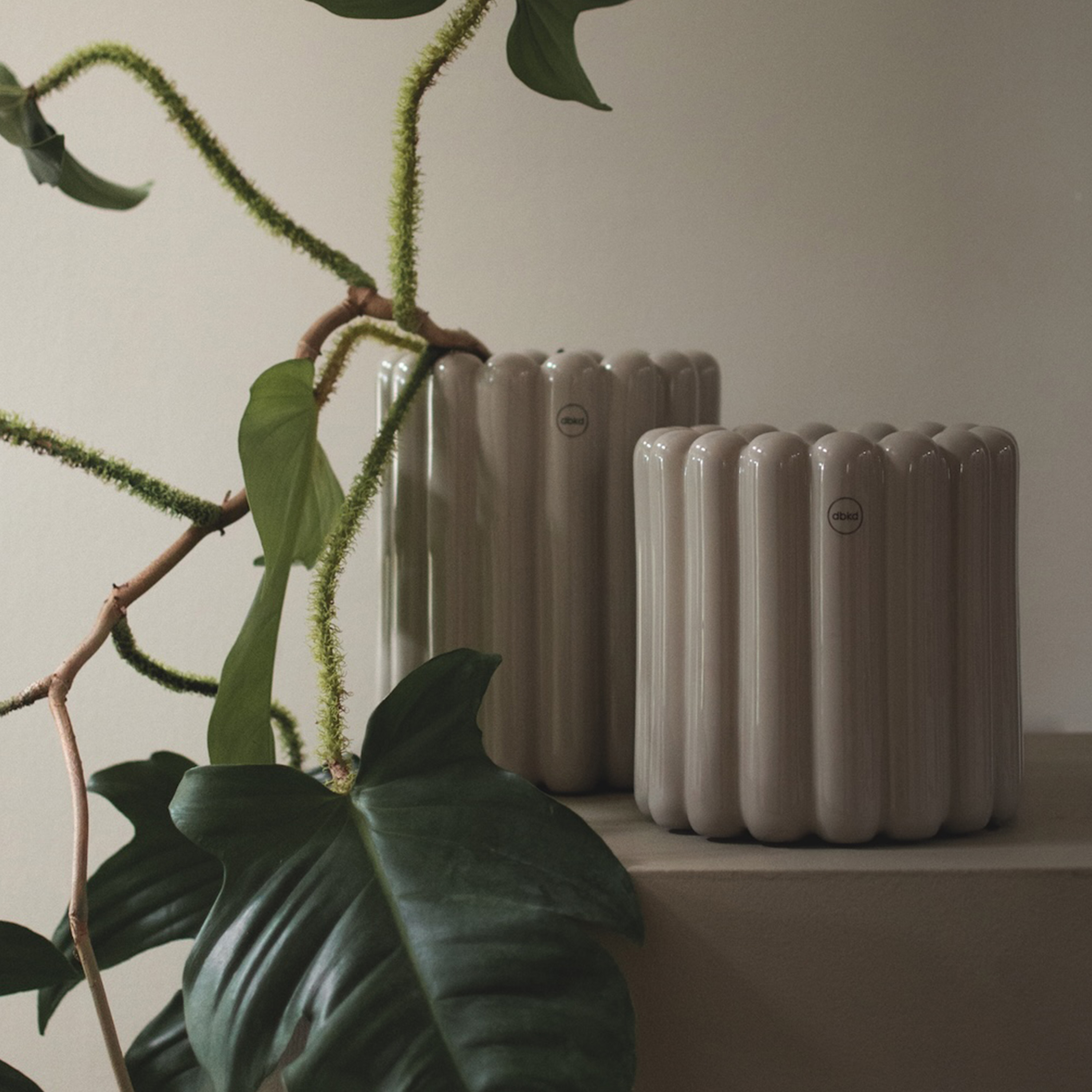 DBKD Mist Ruukku Shiny Mole Medium