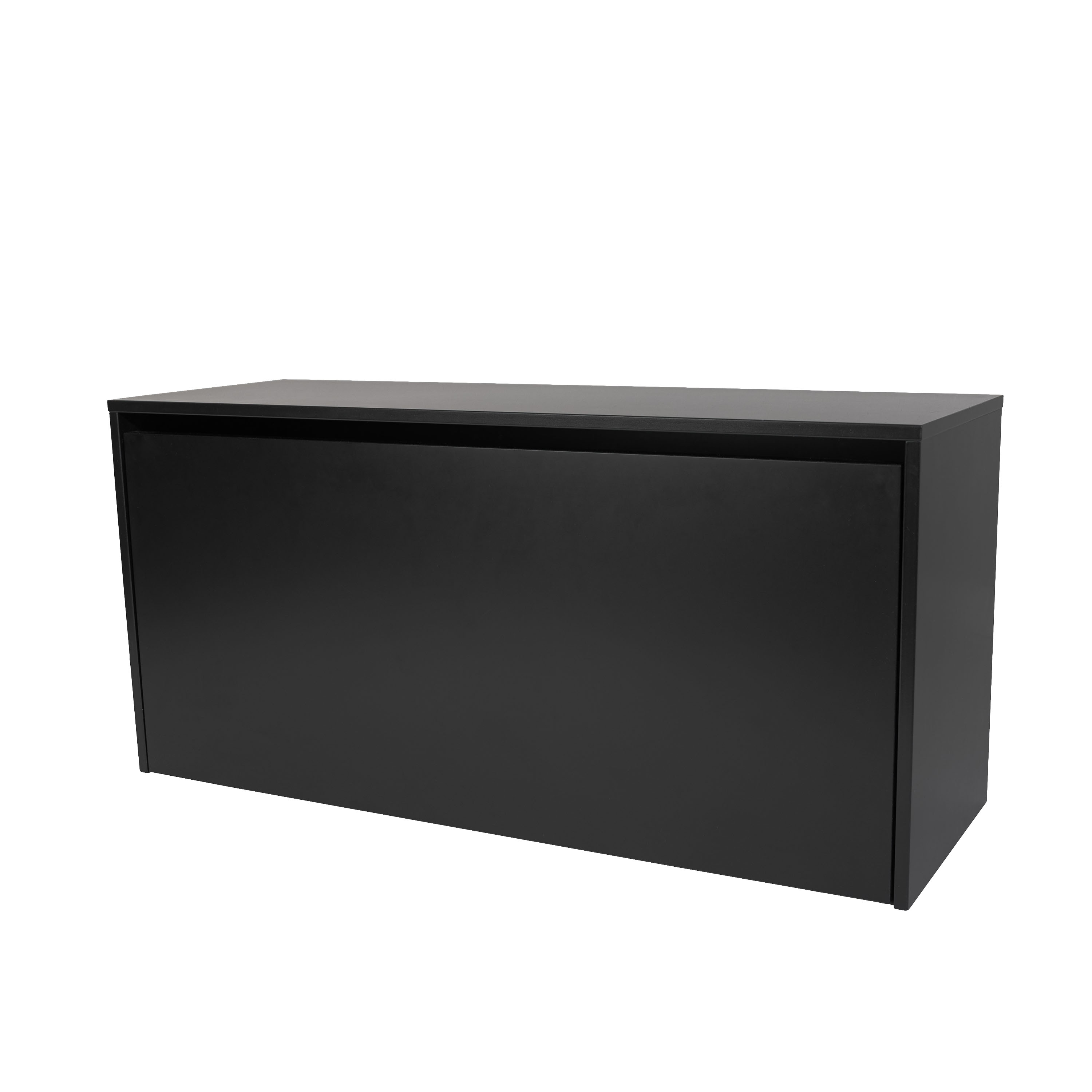 Pythagoras Väggskåp Black 27x80cm