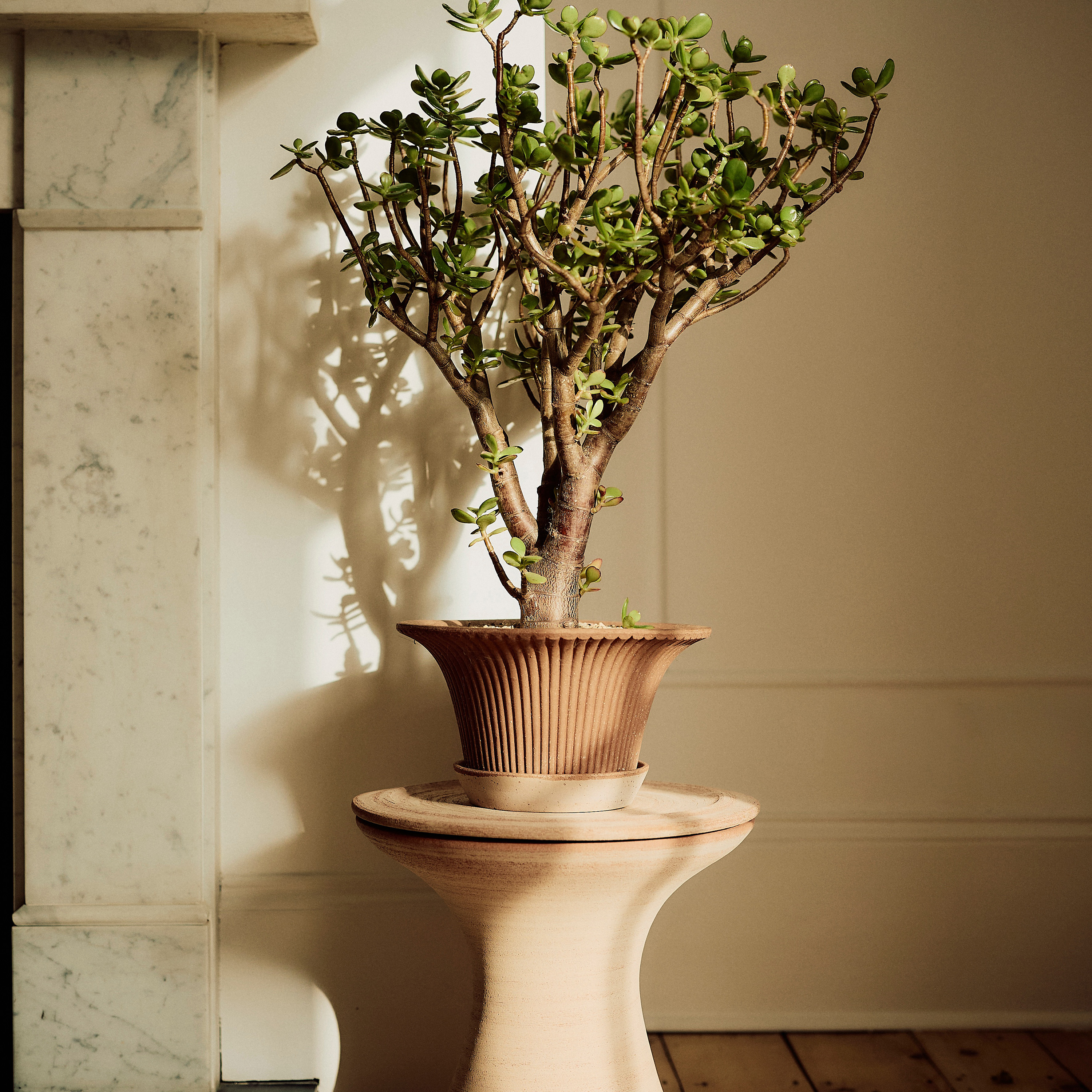 Bergs Potter Daisy Topf mit Untersetzer Raw Rosa Terrakotta Ø30