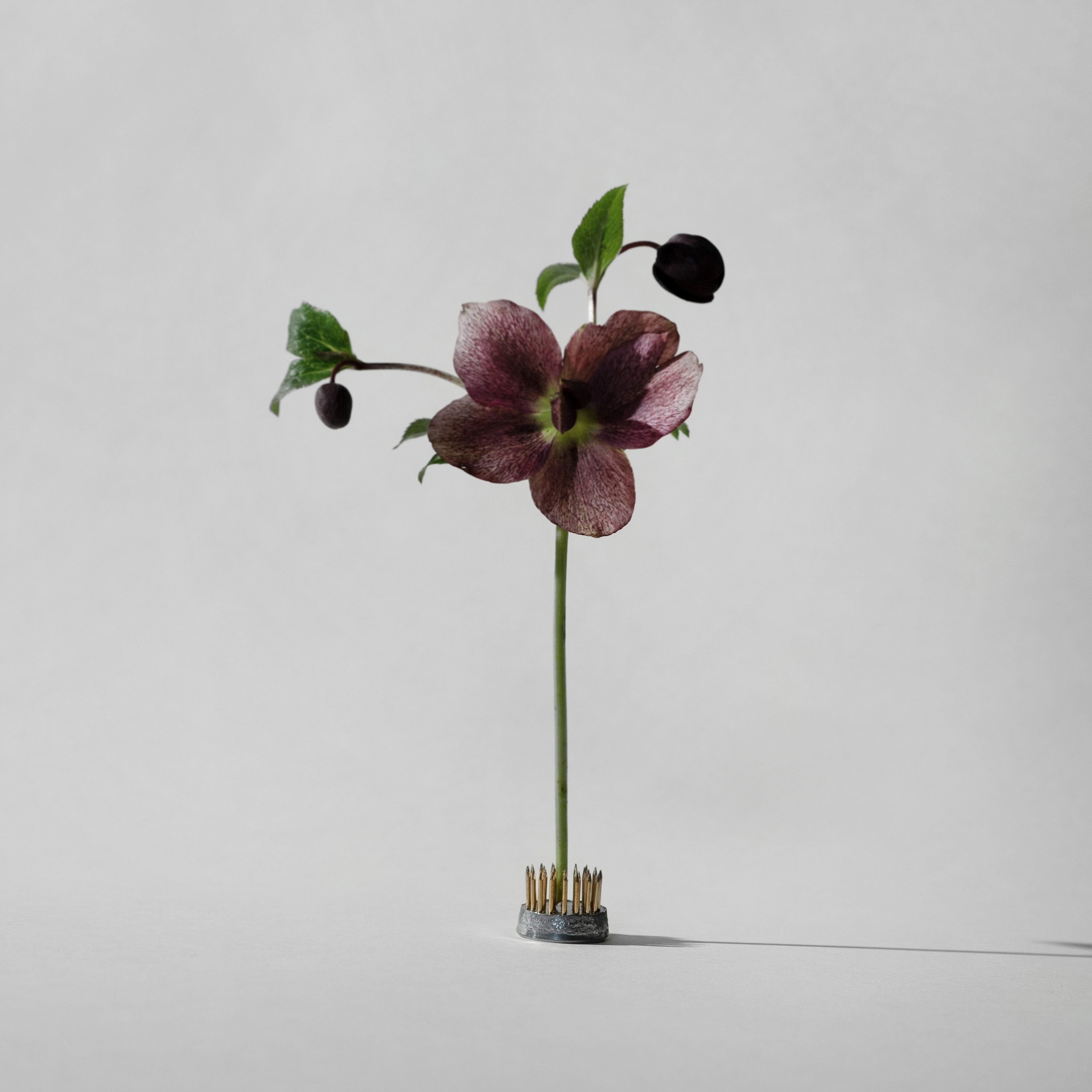 Hein Studio Kenzan Hanataba Harmaa 23mm