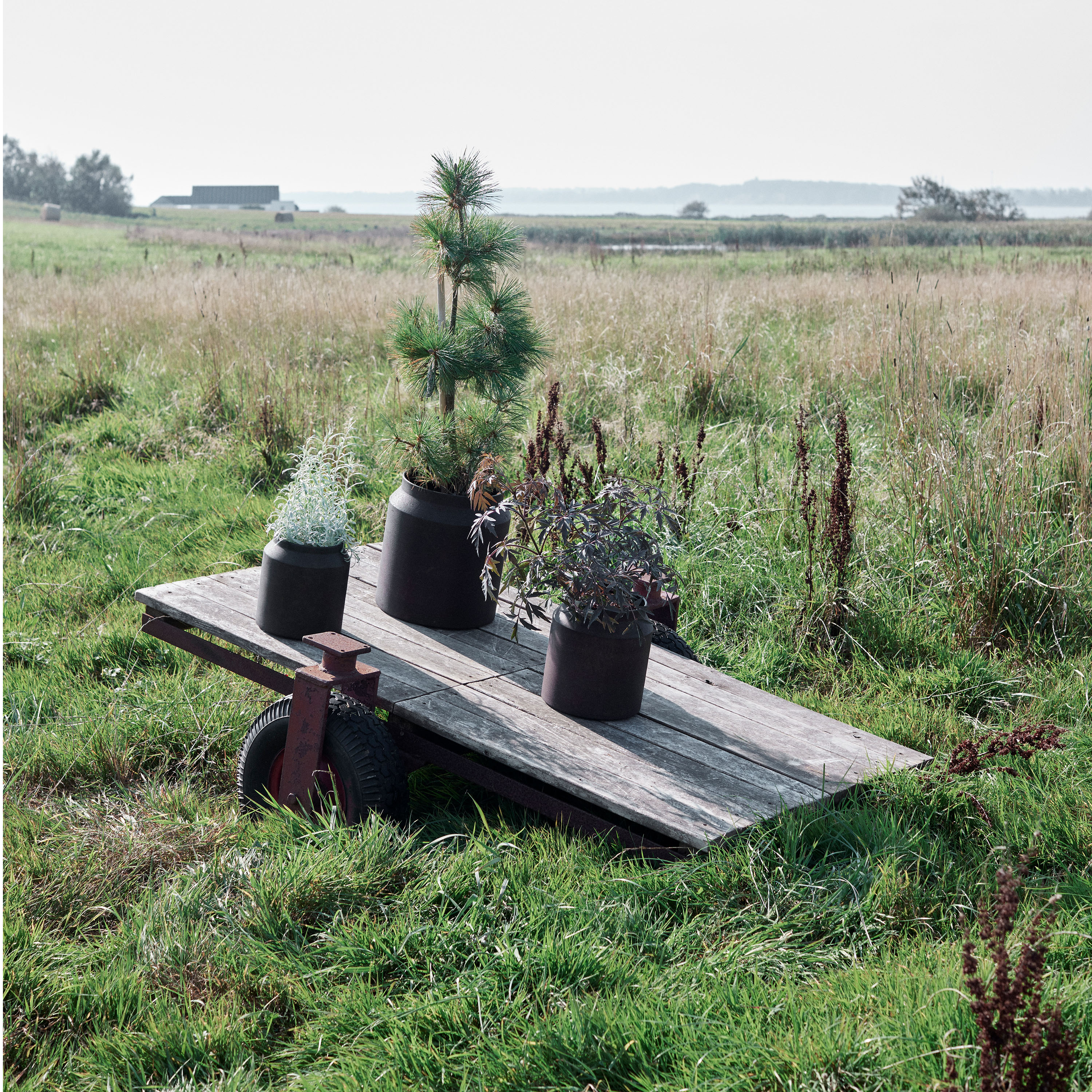 Muubs Sai Blumentopf Rust Metal Ø21