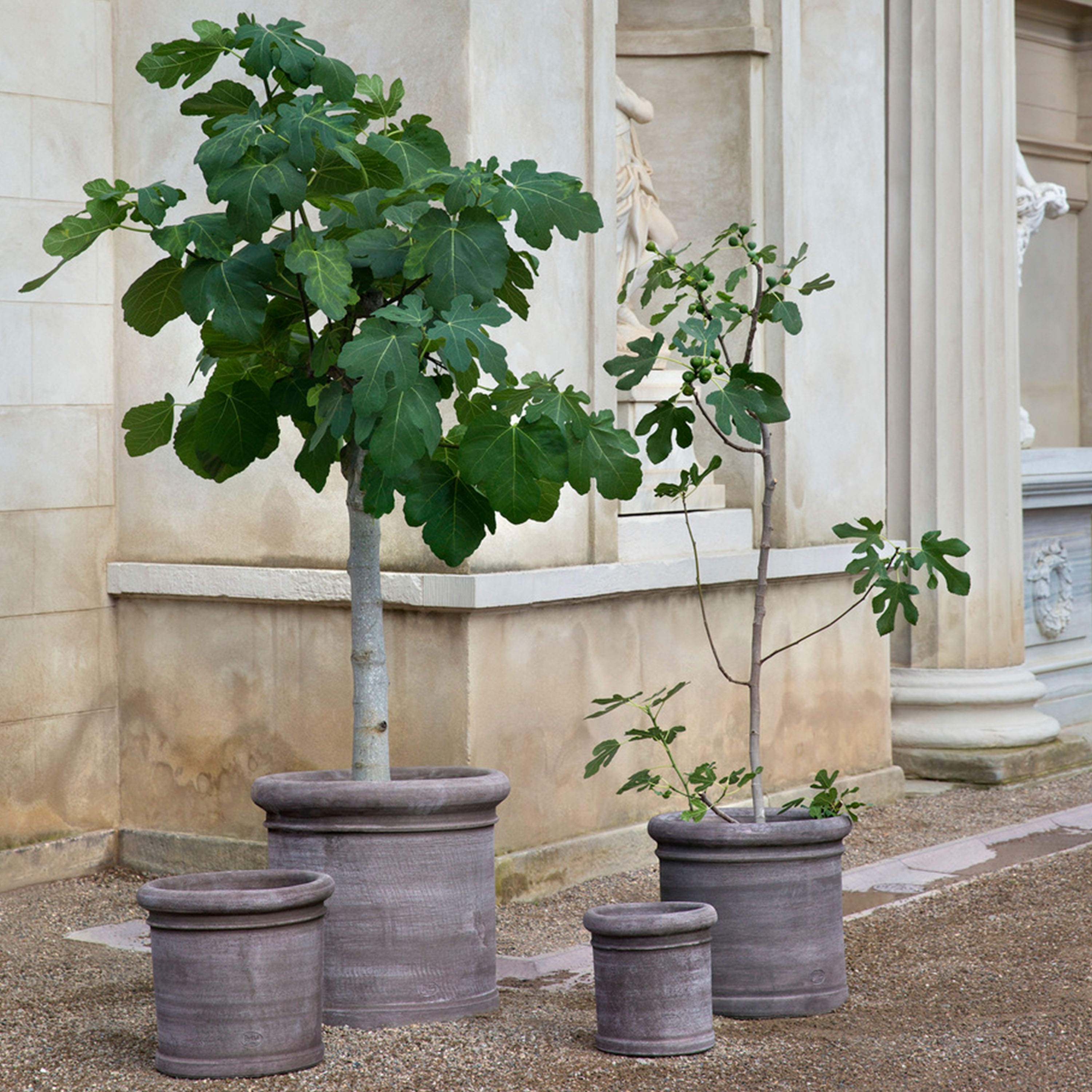 Bergs Potter Cilindro Kruka Raw Grey Terracotta Ø40