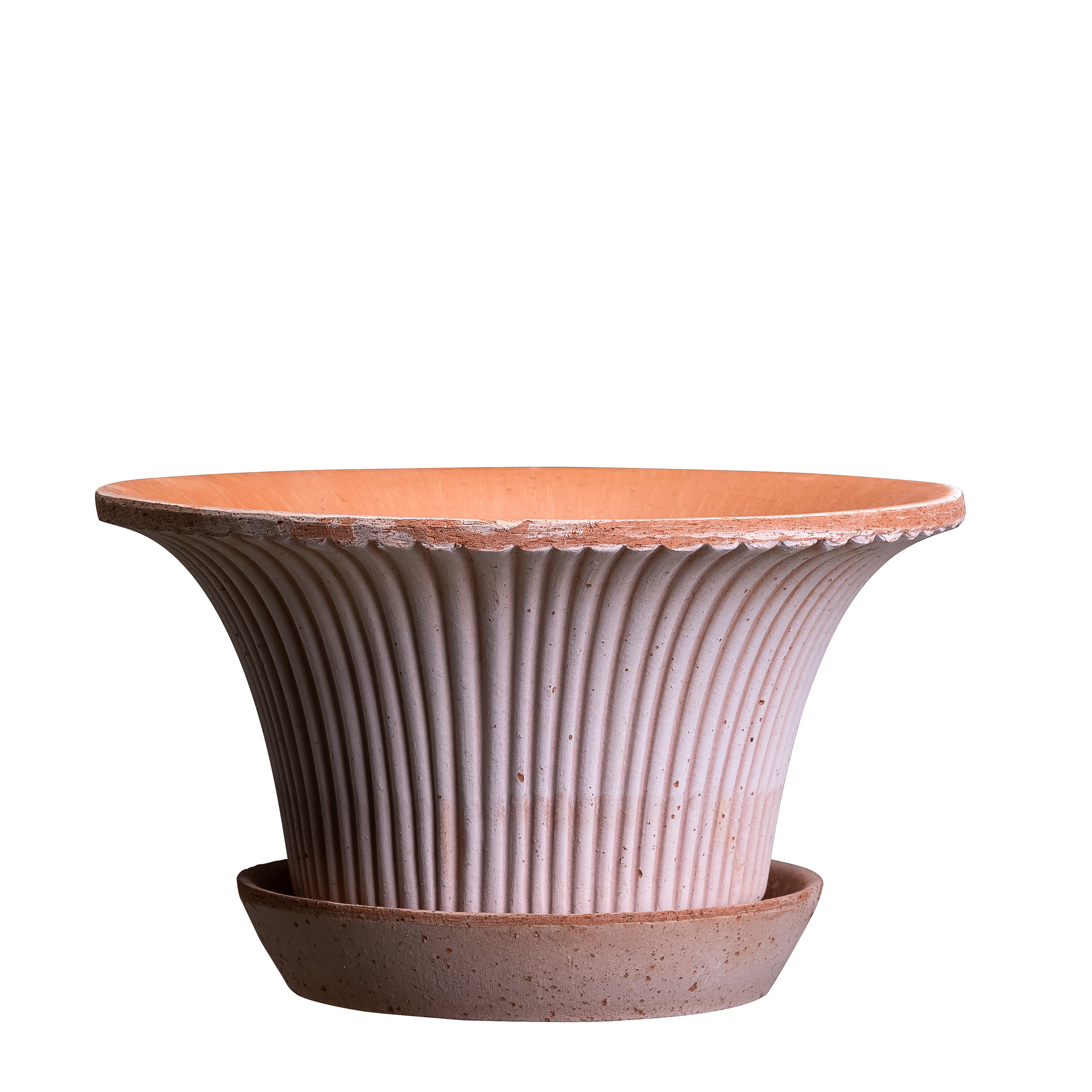 Daisy Kruka med fat Raw Rosa Terracotta Ø30