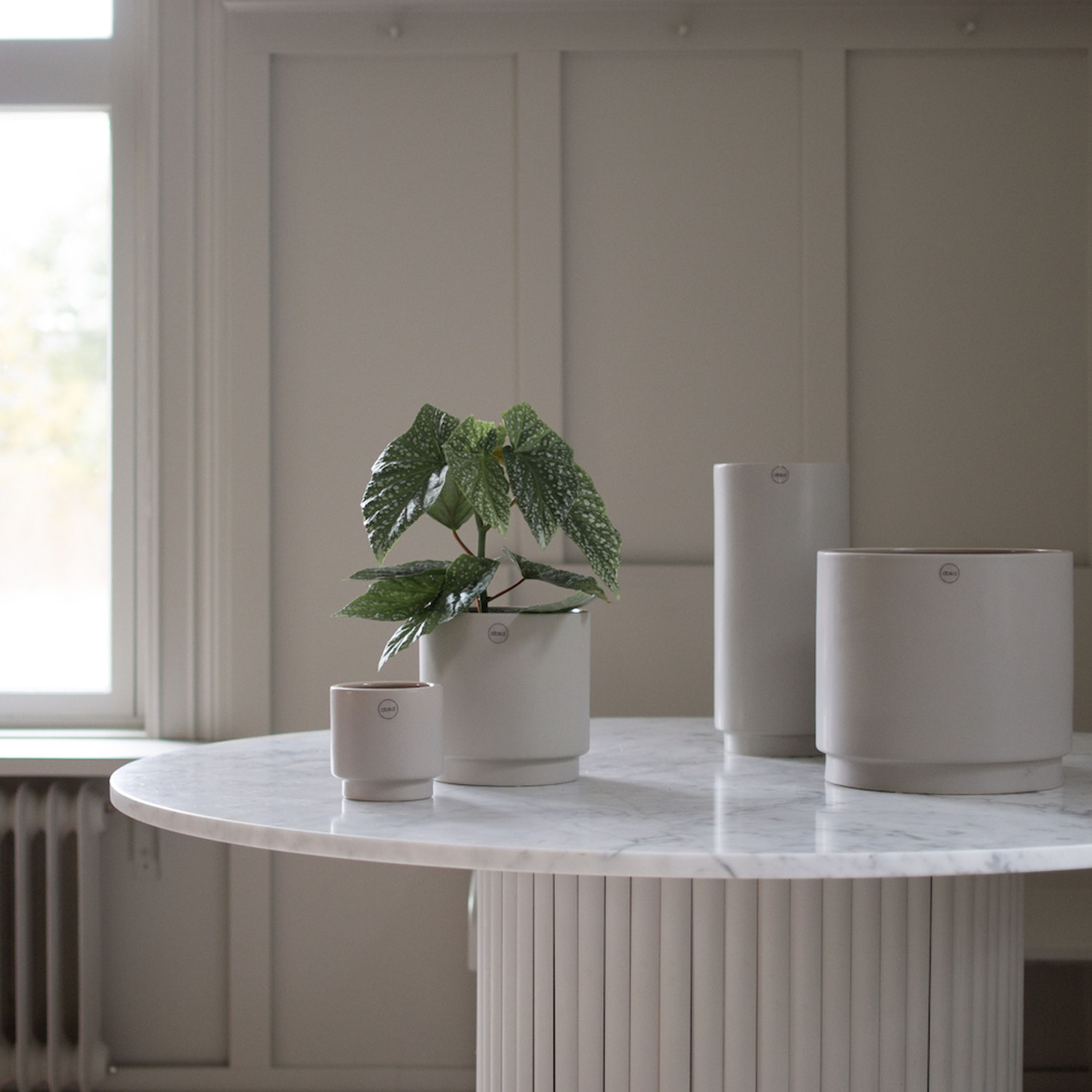 DBKD Solid Kruka Mole Medium