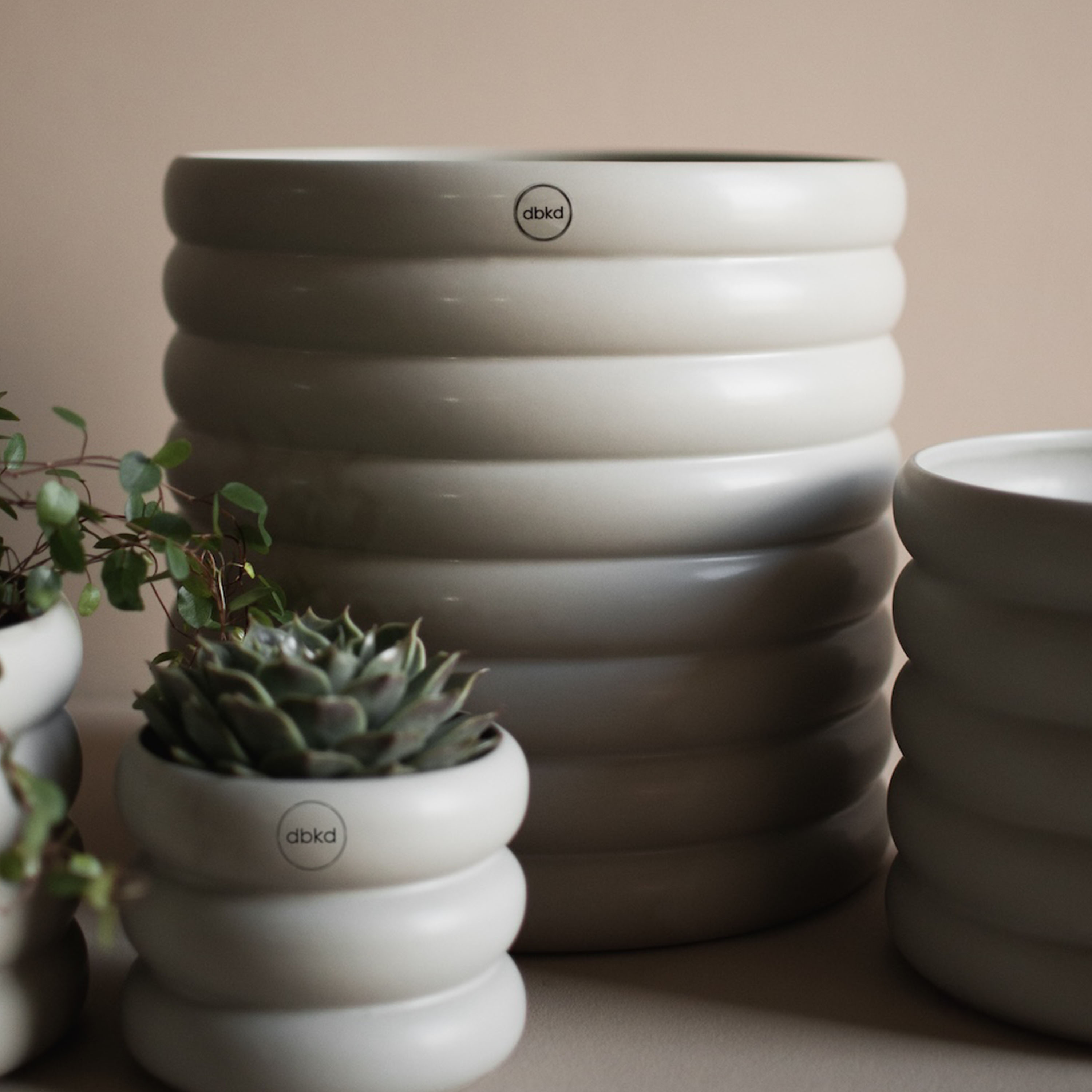 DBKD Mud Kruka Mole XL