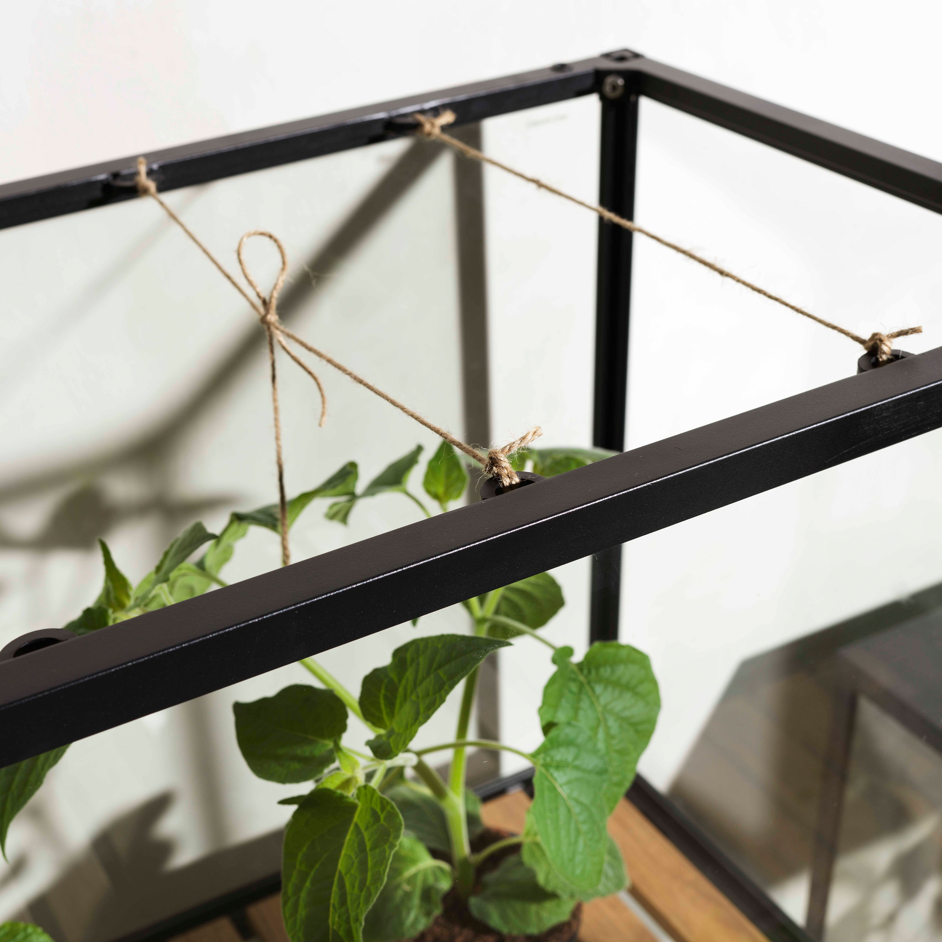 Brafab Grower Växthus Black Tall