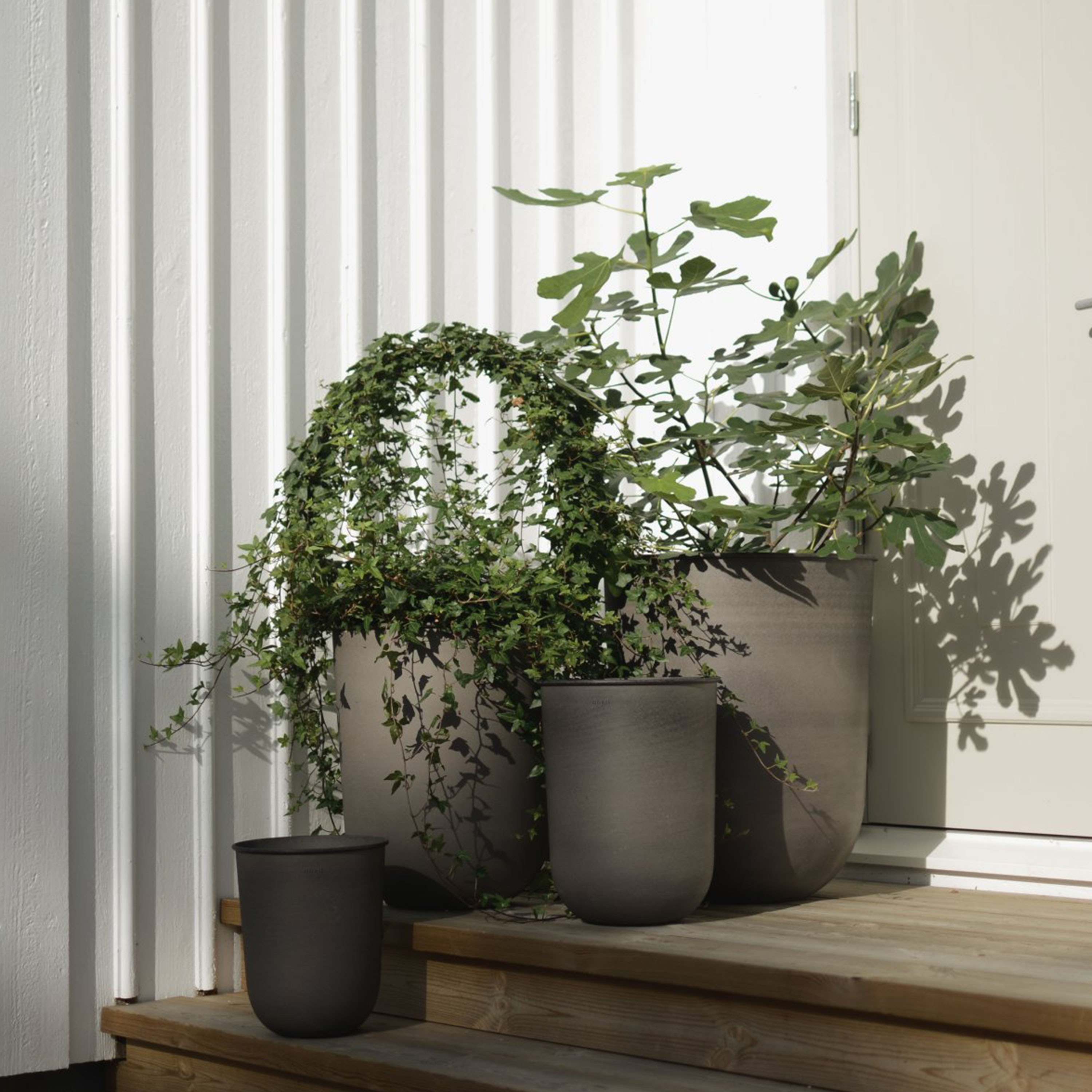 DBKD Out Ruukku 4 kappaleen pakkaus Ruskea