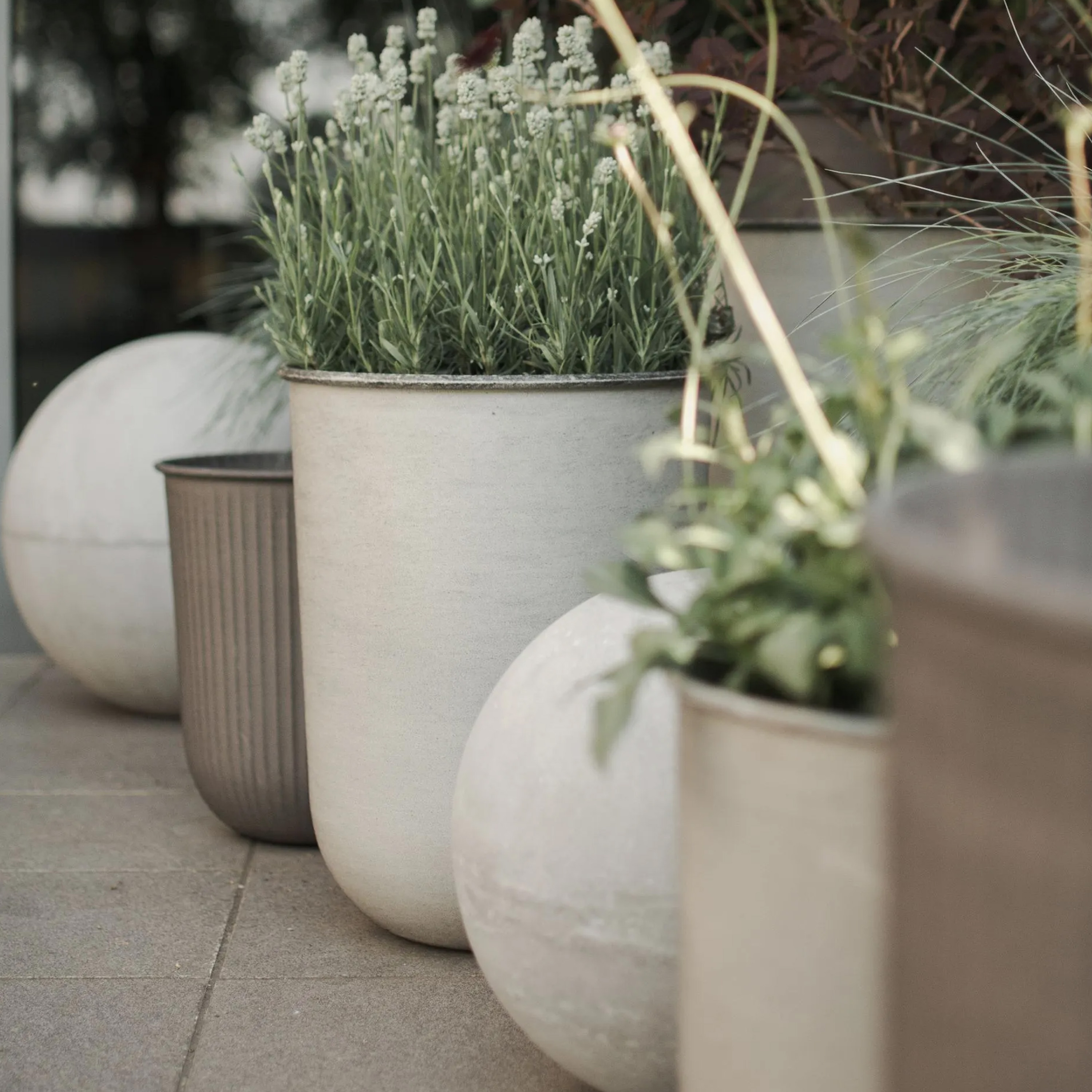 DBKD Out Gryte Beige 3-pakning