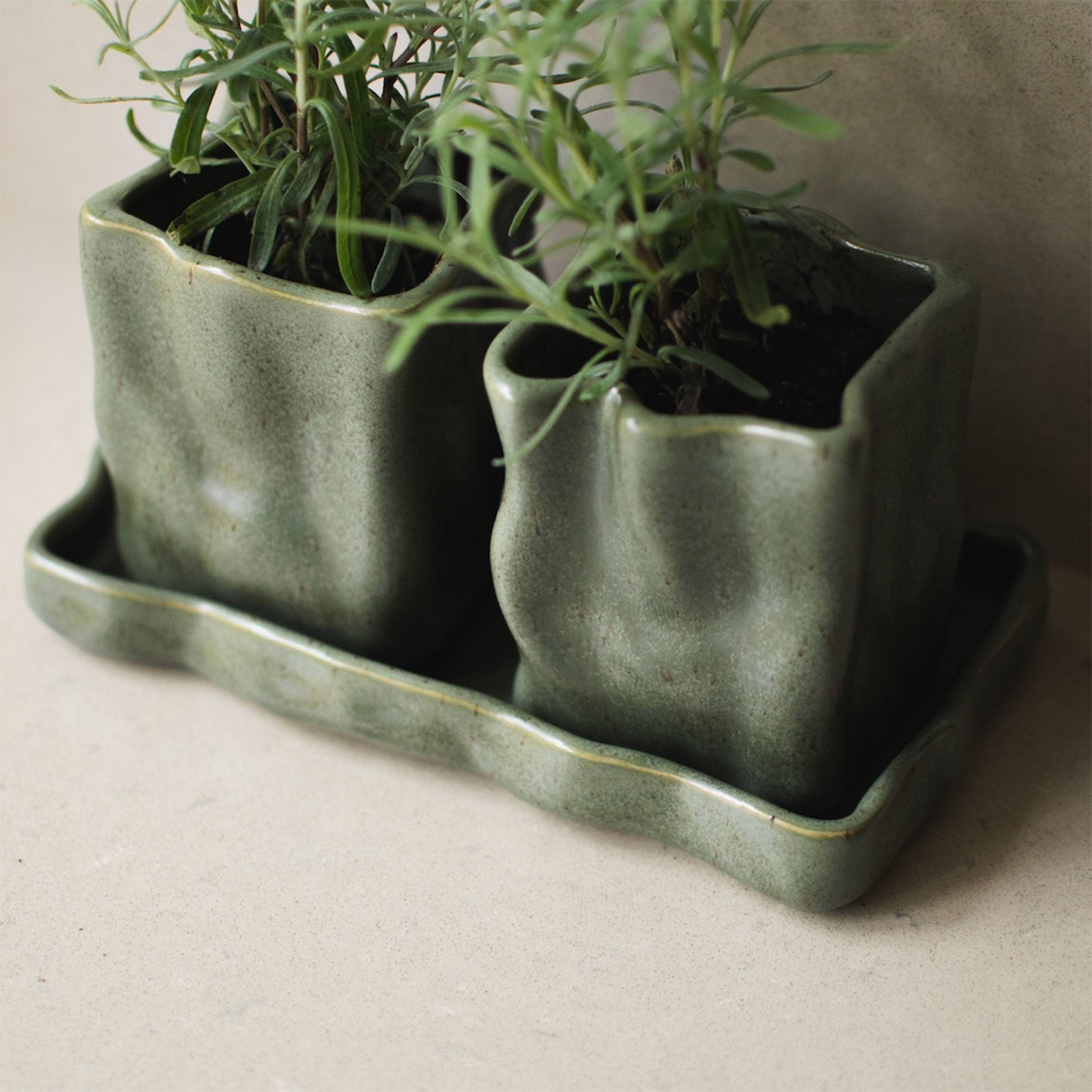 DBKD Herb Kruka Moss Ø8 2-pack