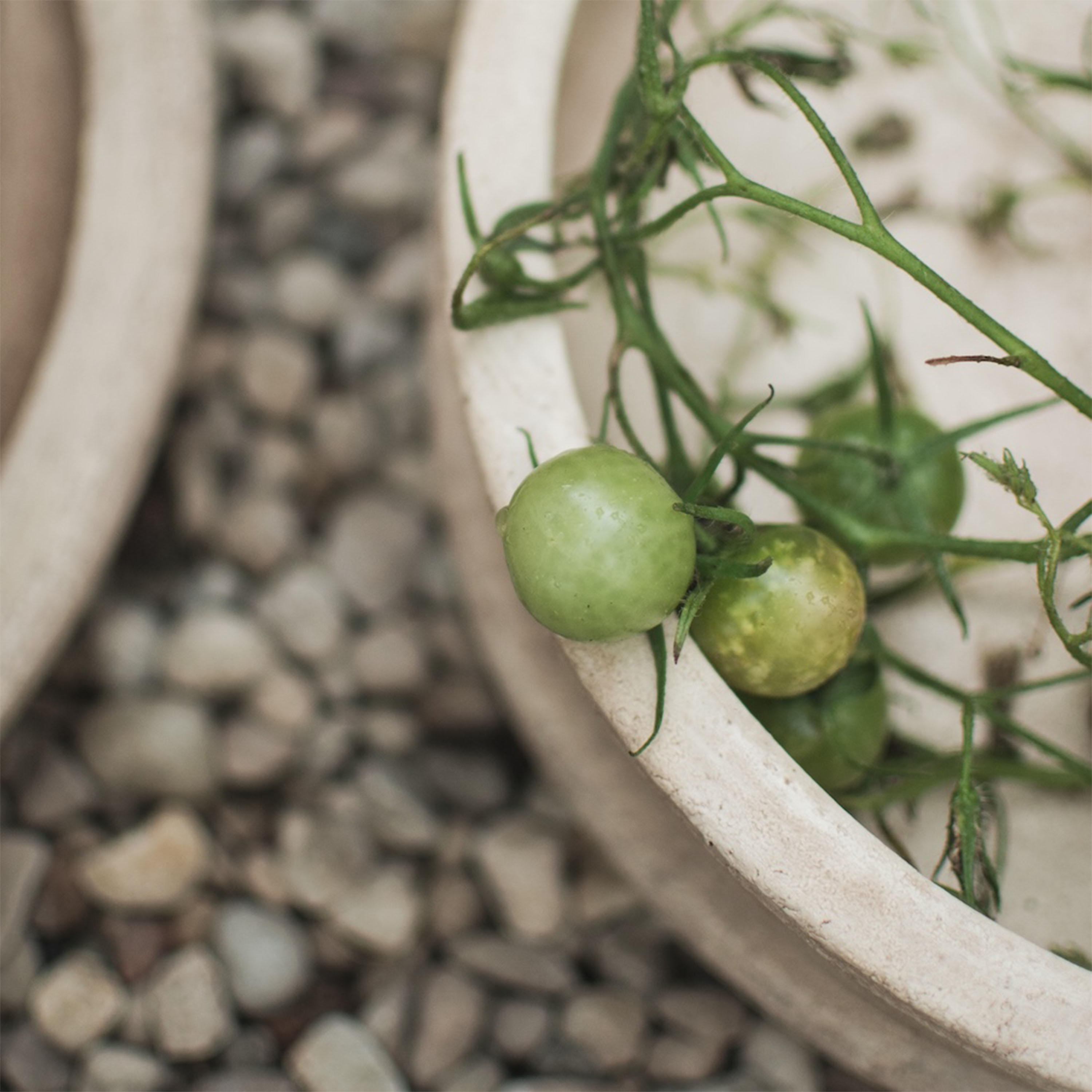 DBKD Terra Skål Sand Ø30