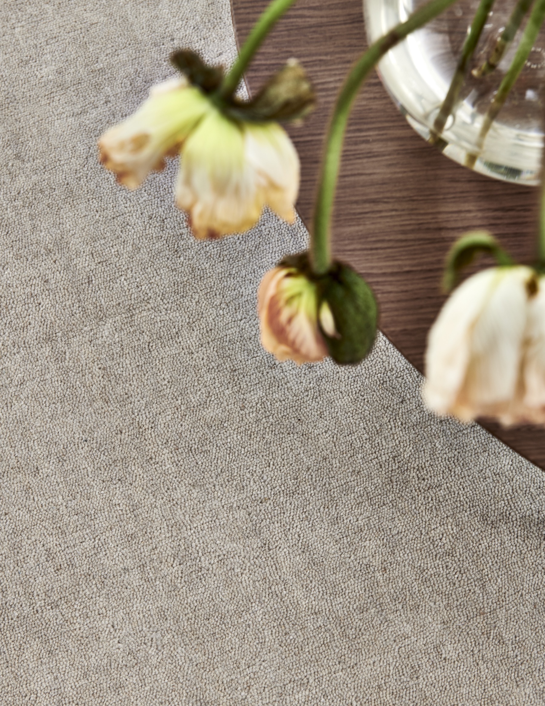 Classic Collection Solid Ullteppe Beige 170x230