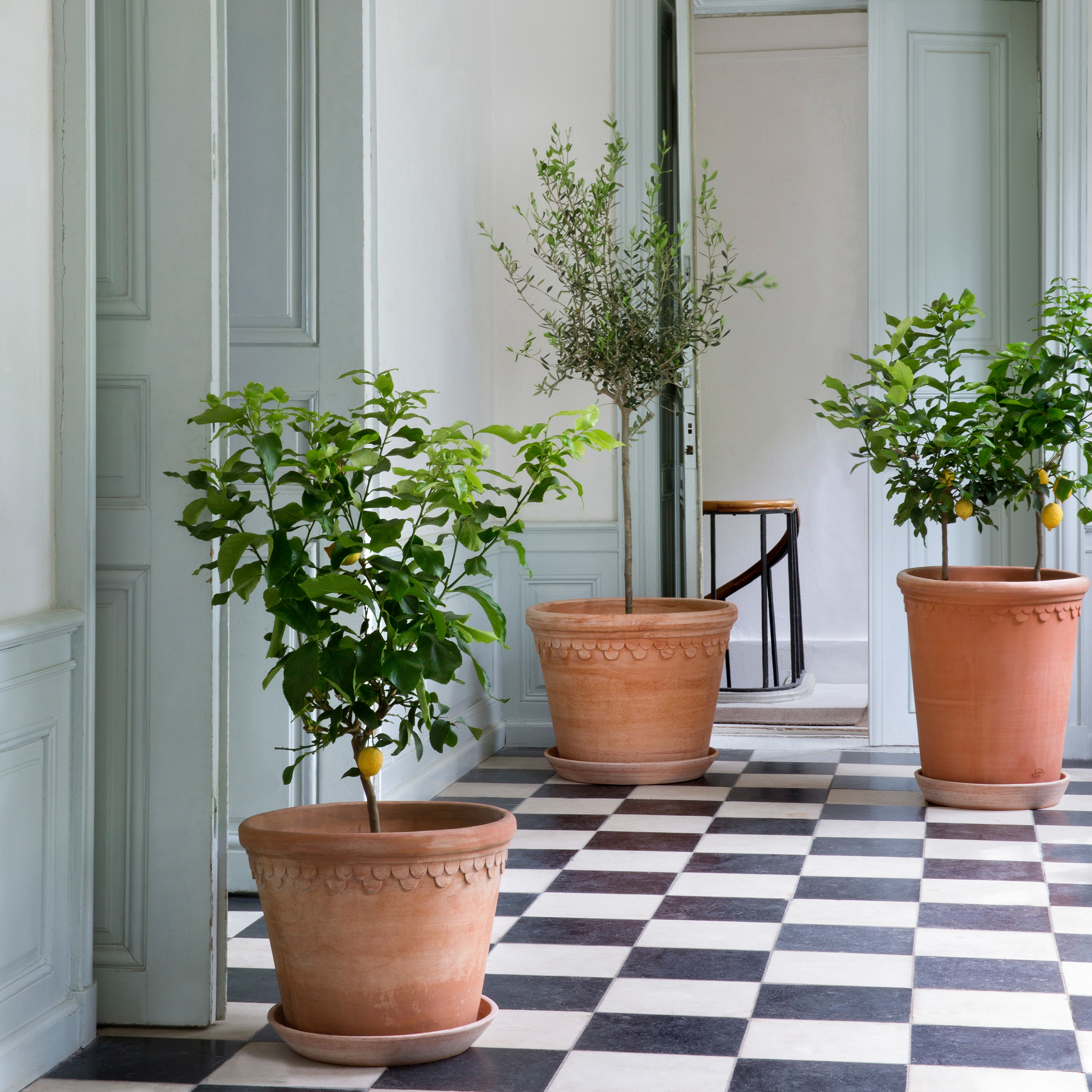 Bergs Potter Københavner Topf Raw Rosa Terrakotta Ø60