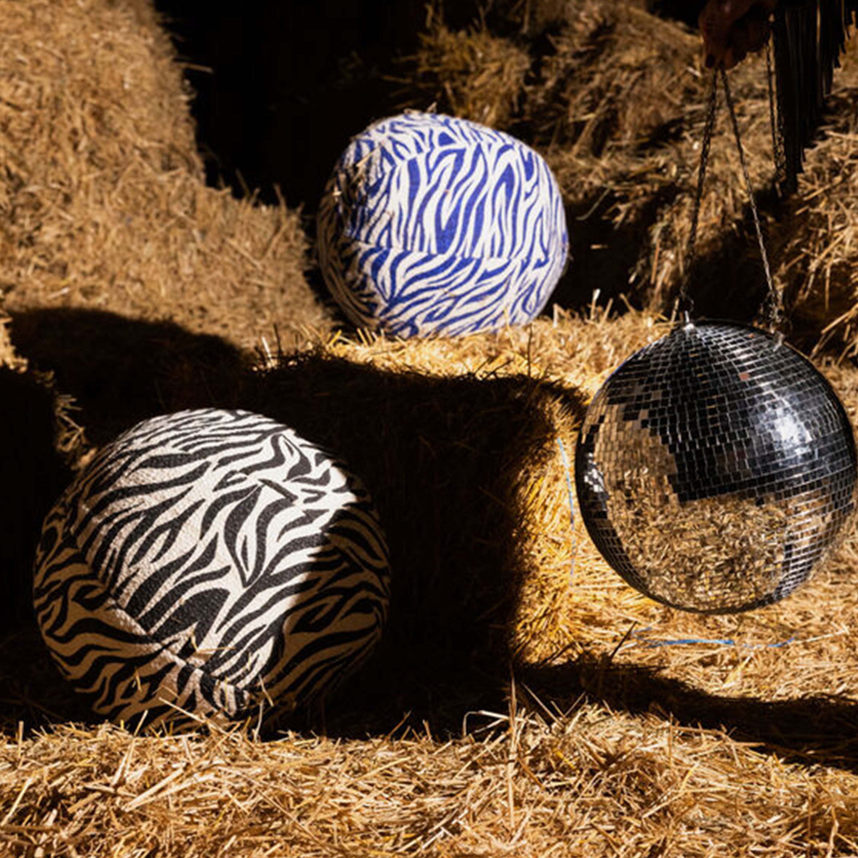 Byon Anima Zebra Prydnadskudde Blue Ø35