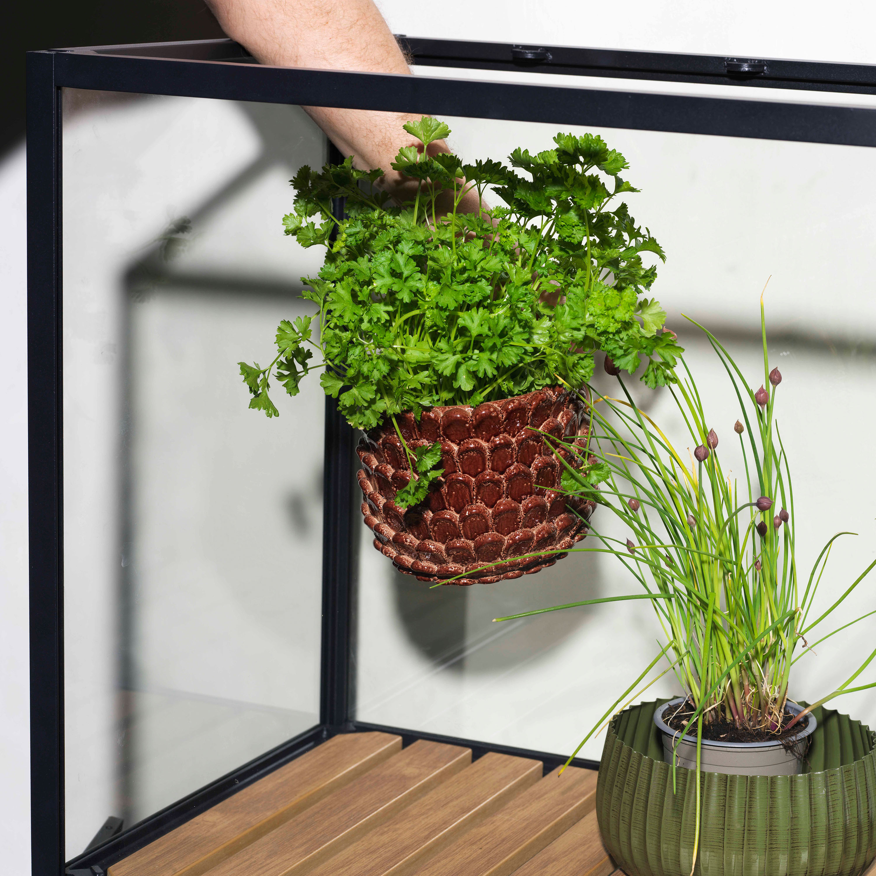 Brafab Grower Växthus Black Small