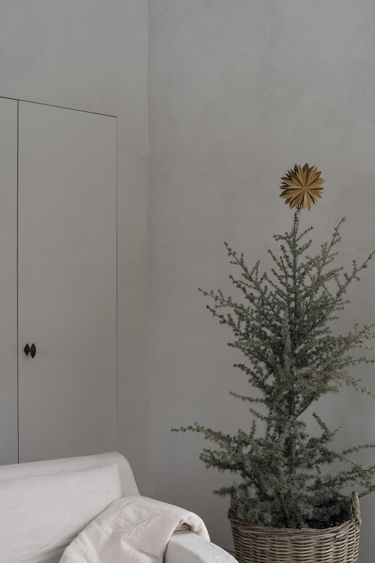 Watt &amp; Veke Nova Latvatähti Gold