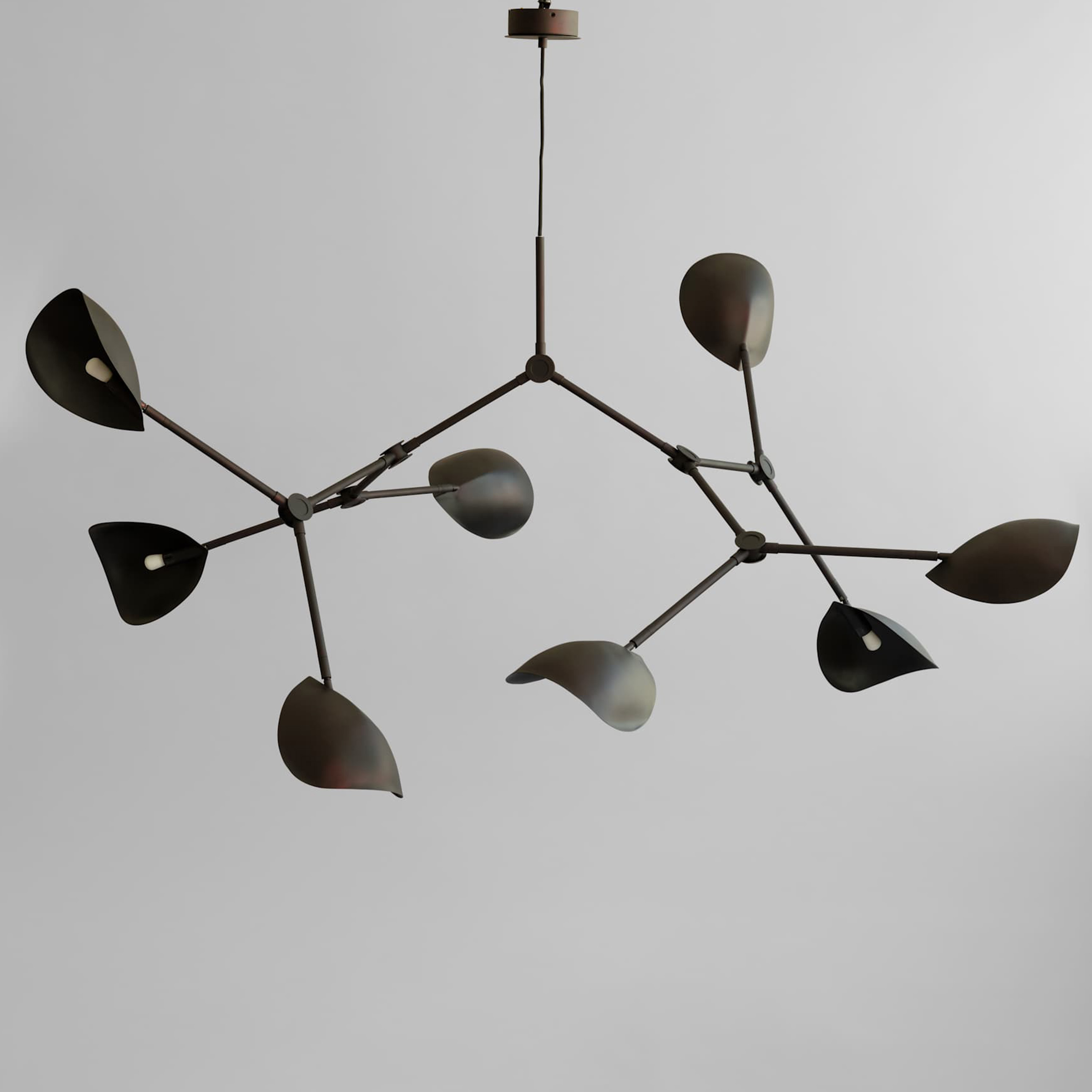 101 Copenhagen Stingray Kattovalaisin Burned Black Grande 177cm