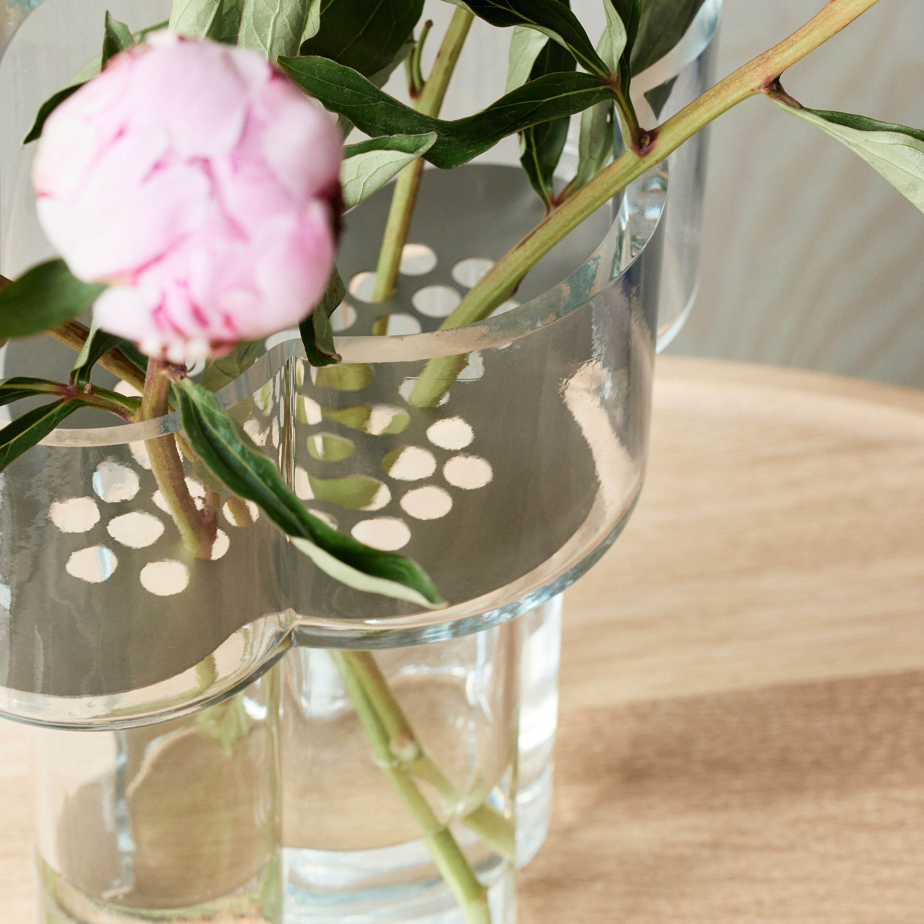 Northern Fab Vas Transparent