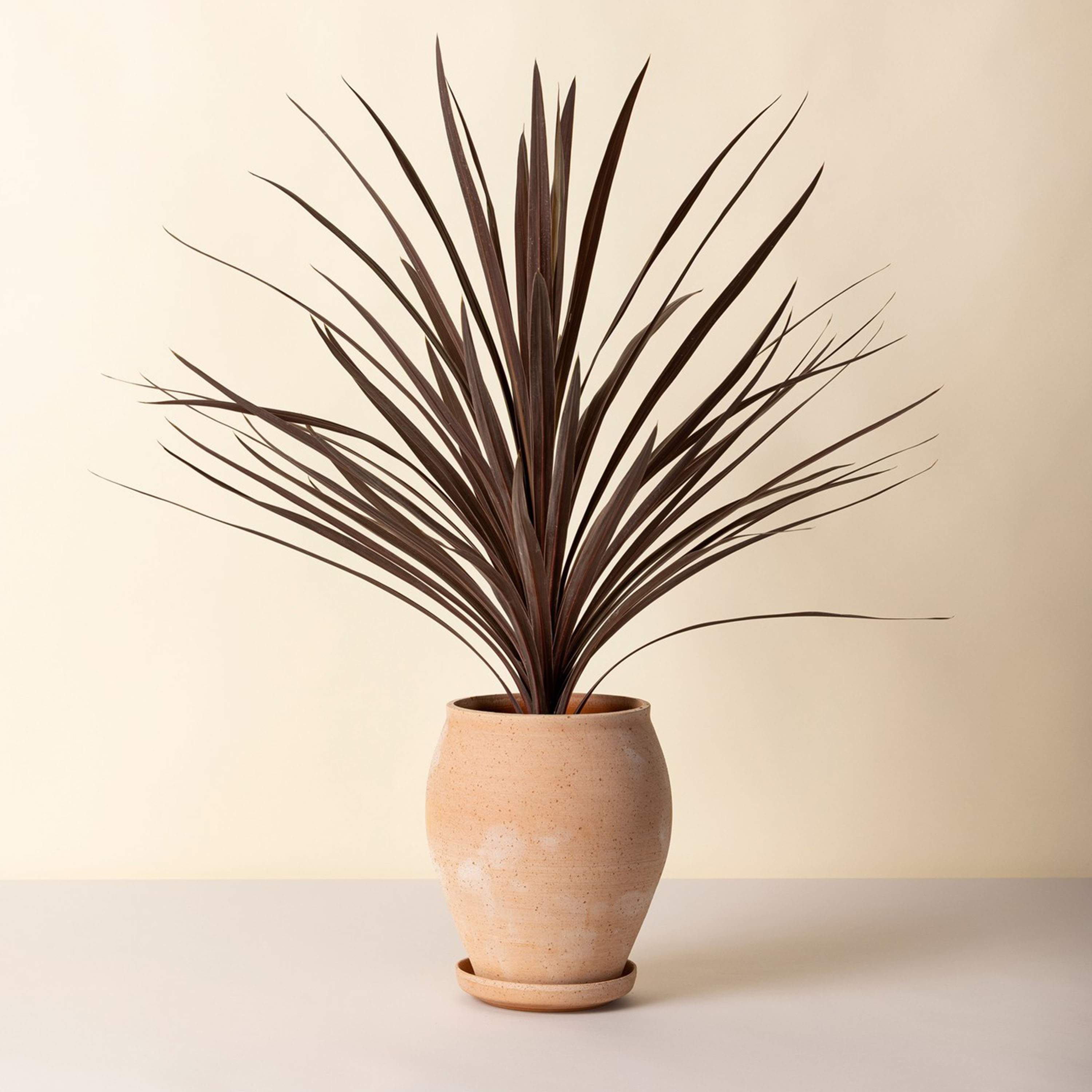 Bergs Potter Delphi Ruukku aluslautasella Raw Rosa Tall Ø22