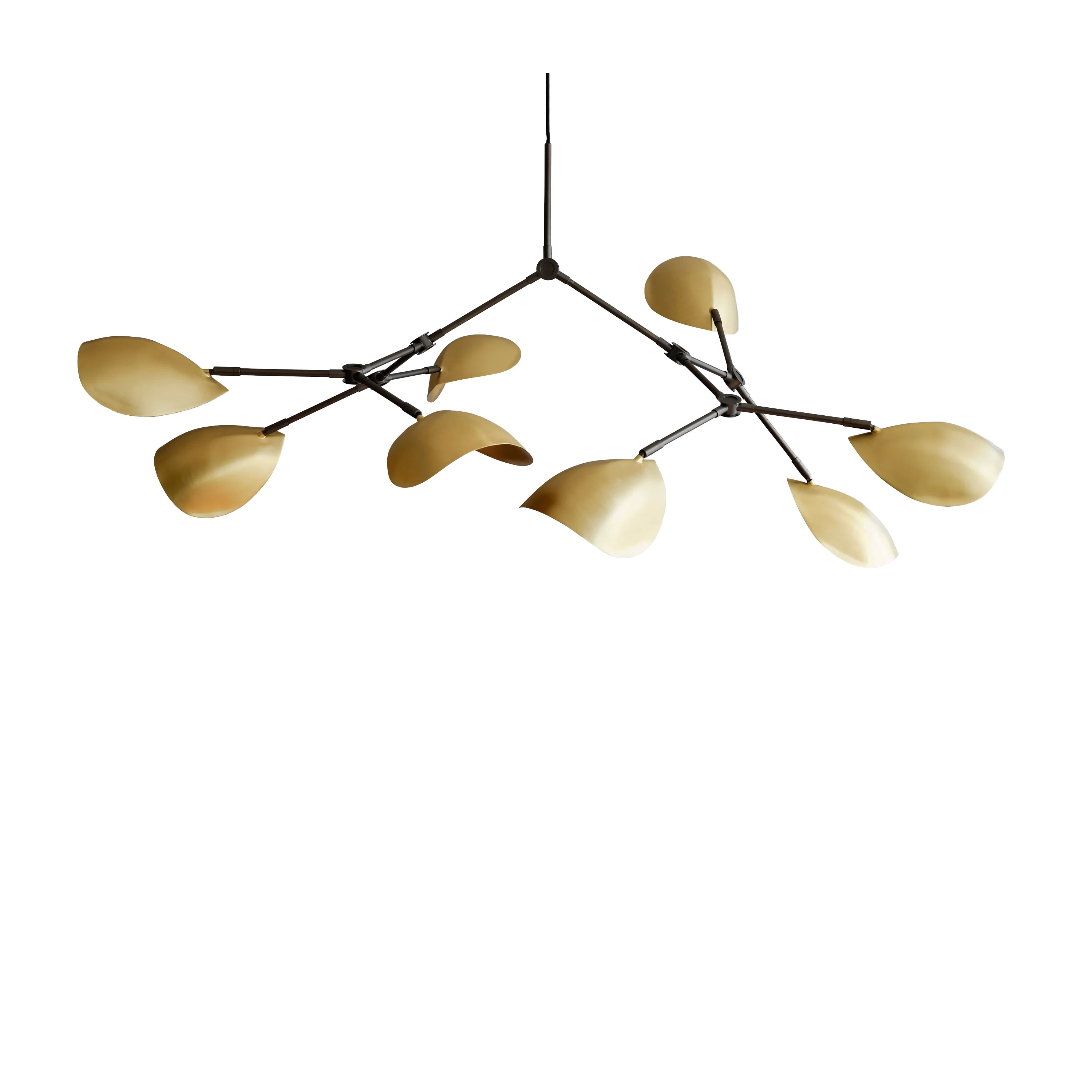 Stingray Kattovalaisin Brass 152cm