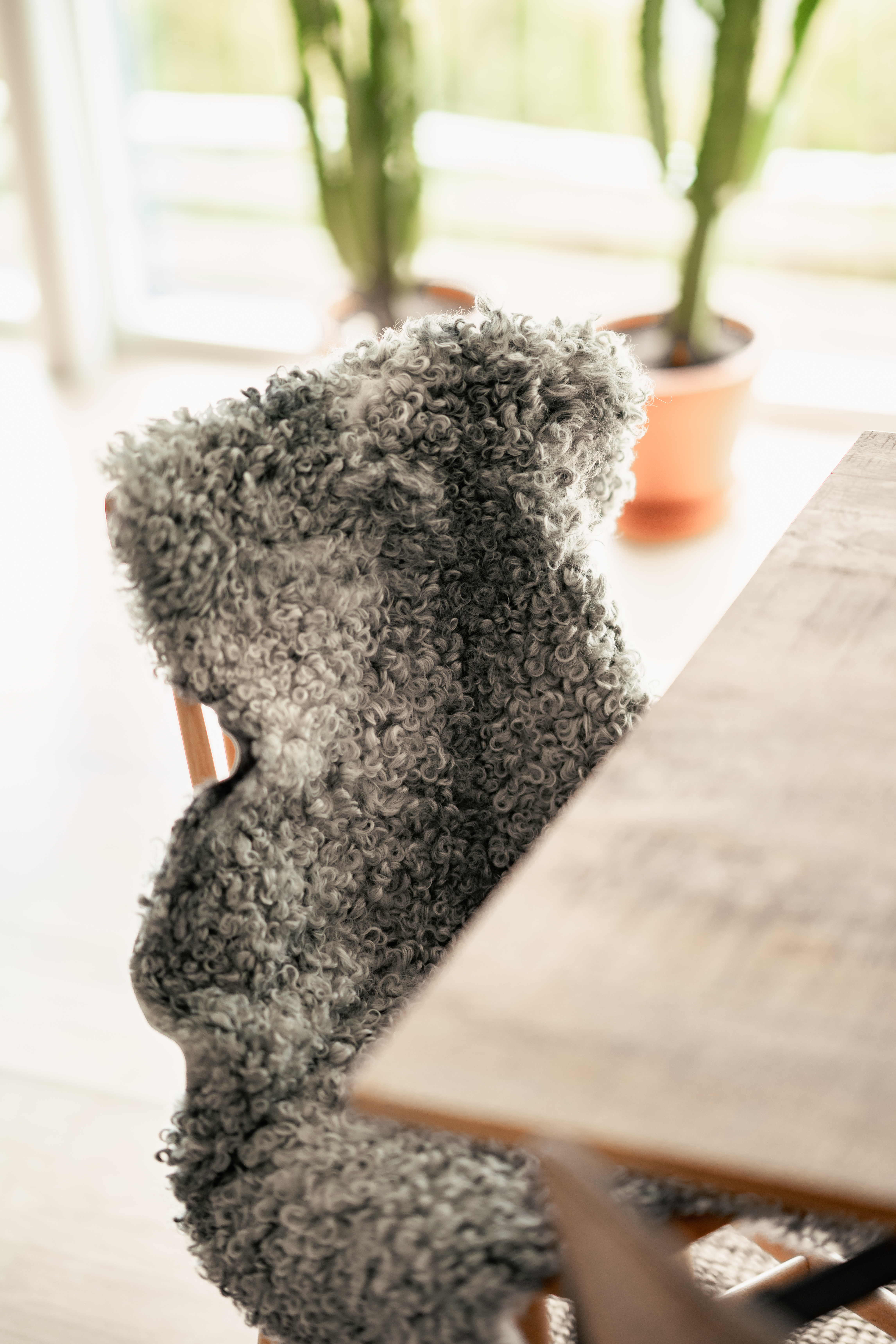 Shepherd Visby Svensk Saueskinn Lys 100x60