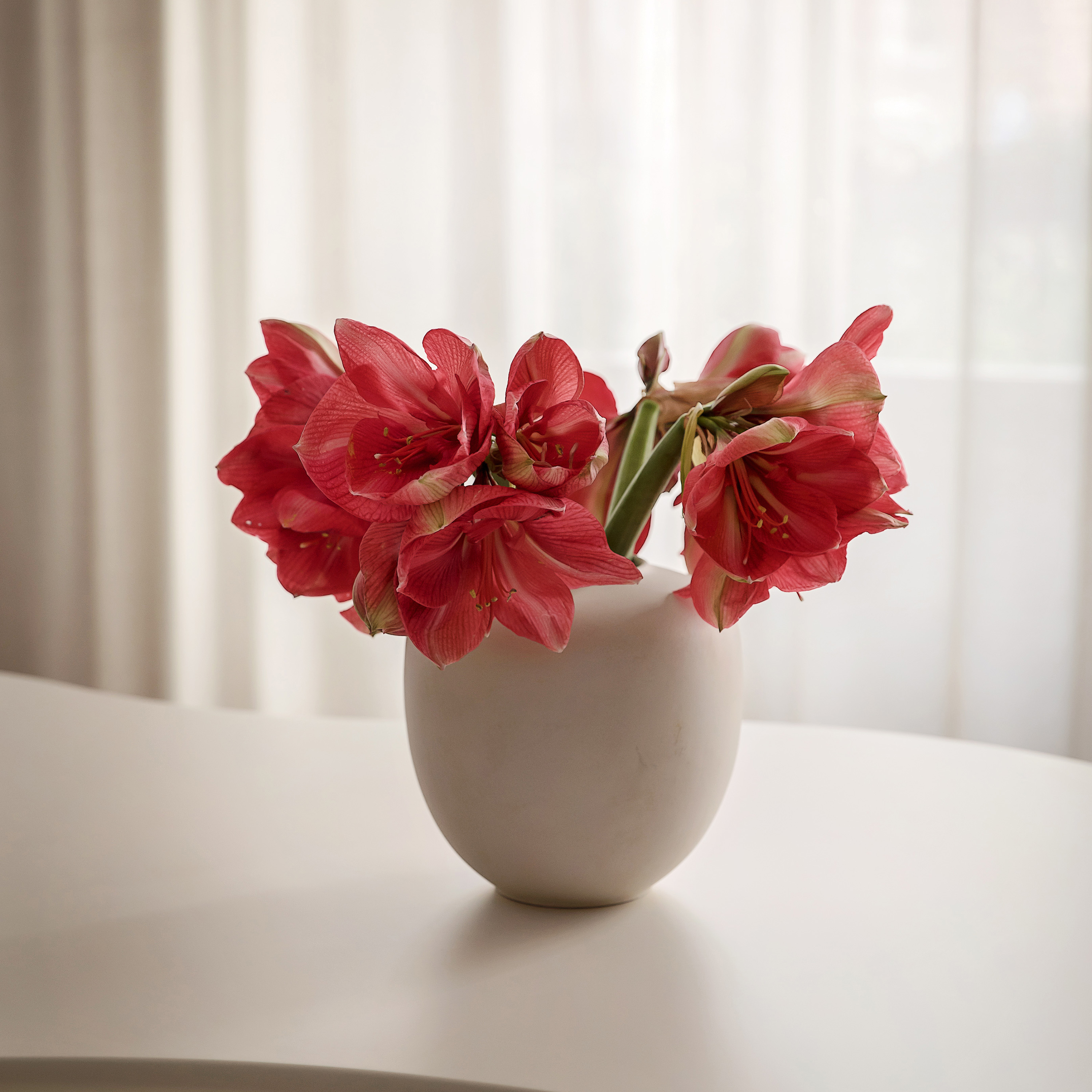 101 Copenhagen Sunao Vase Bjørk Medium