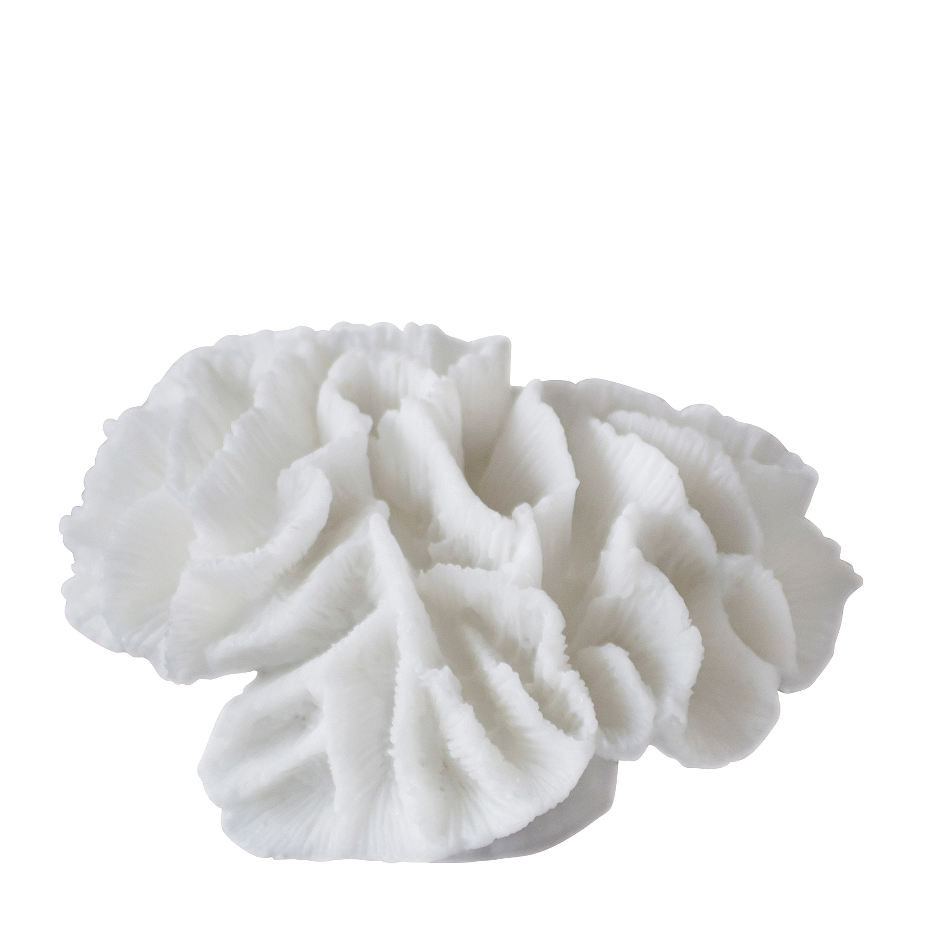 Coral Gills Dekoration White