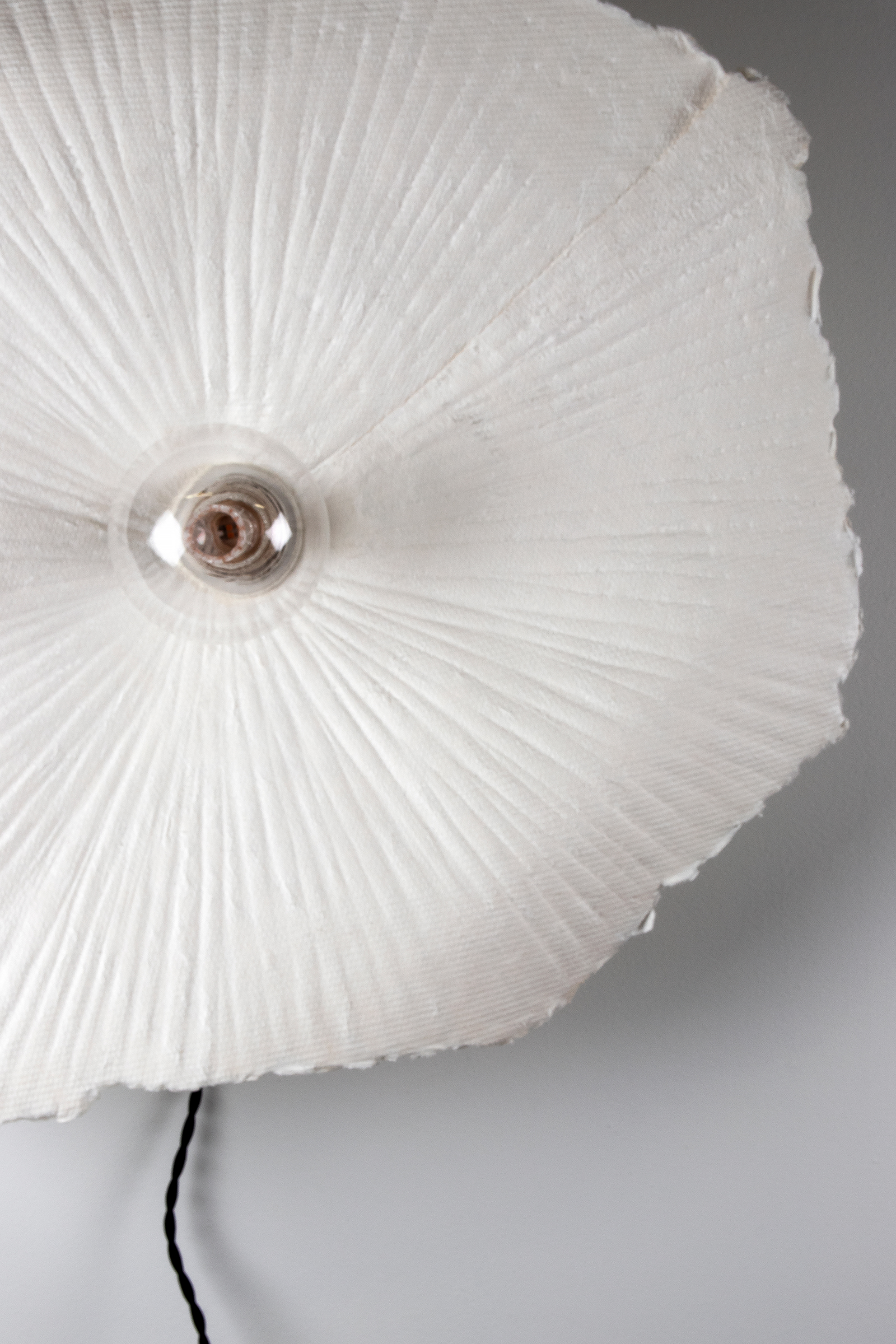 Globen Lighting Tropez Seinäplafondi Valkoinen/Musta Ø60