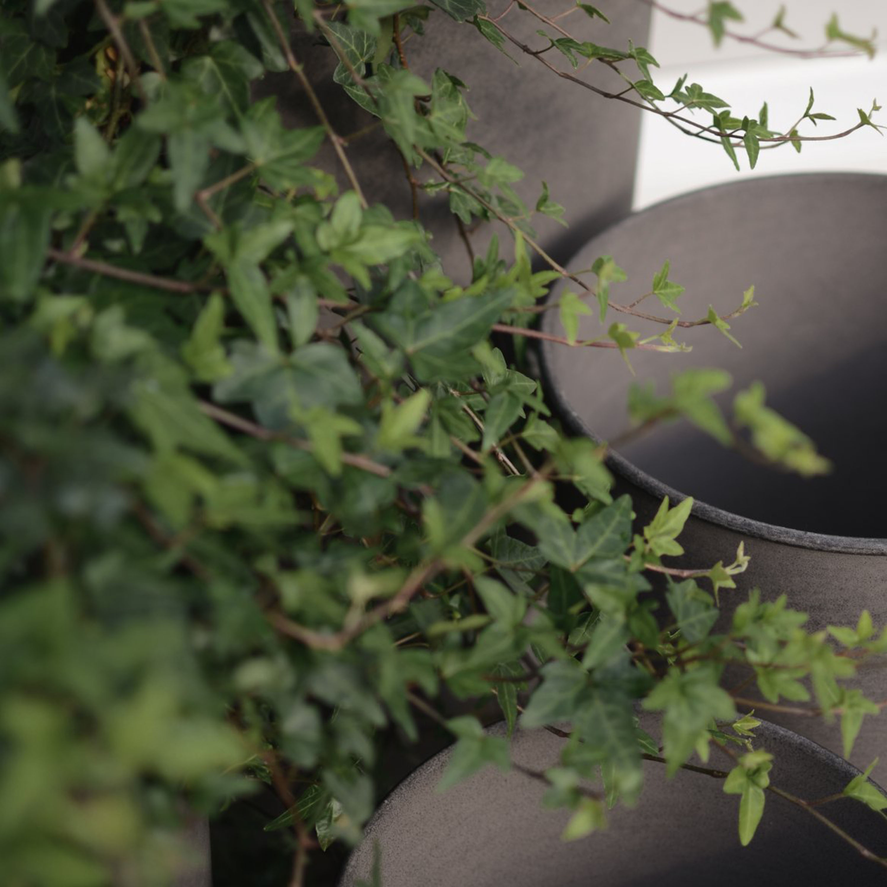 DBKD Out Ruukku 4 kappaleen pakkaus Ruskea