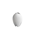 Sumo Vas Bone White Slim Petit