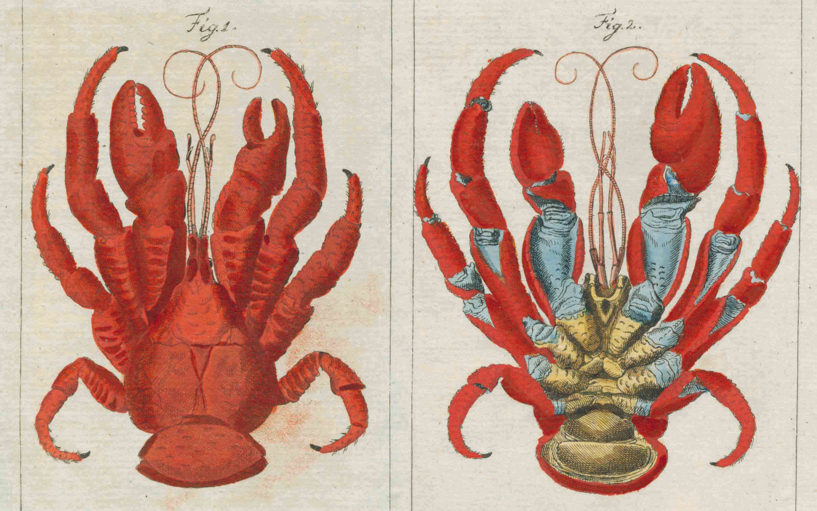 New Mags John Derian Picture Book Bok