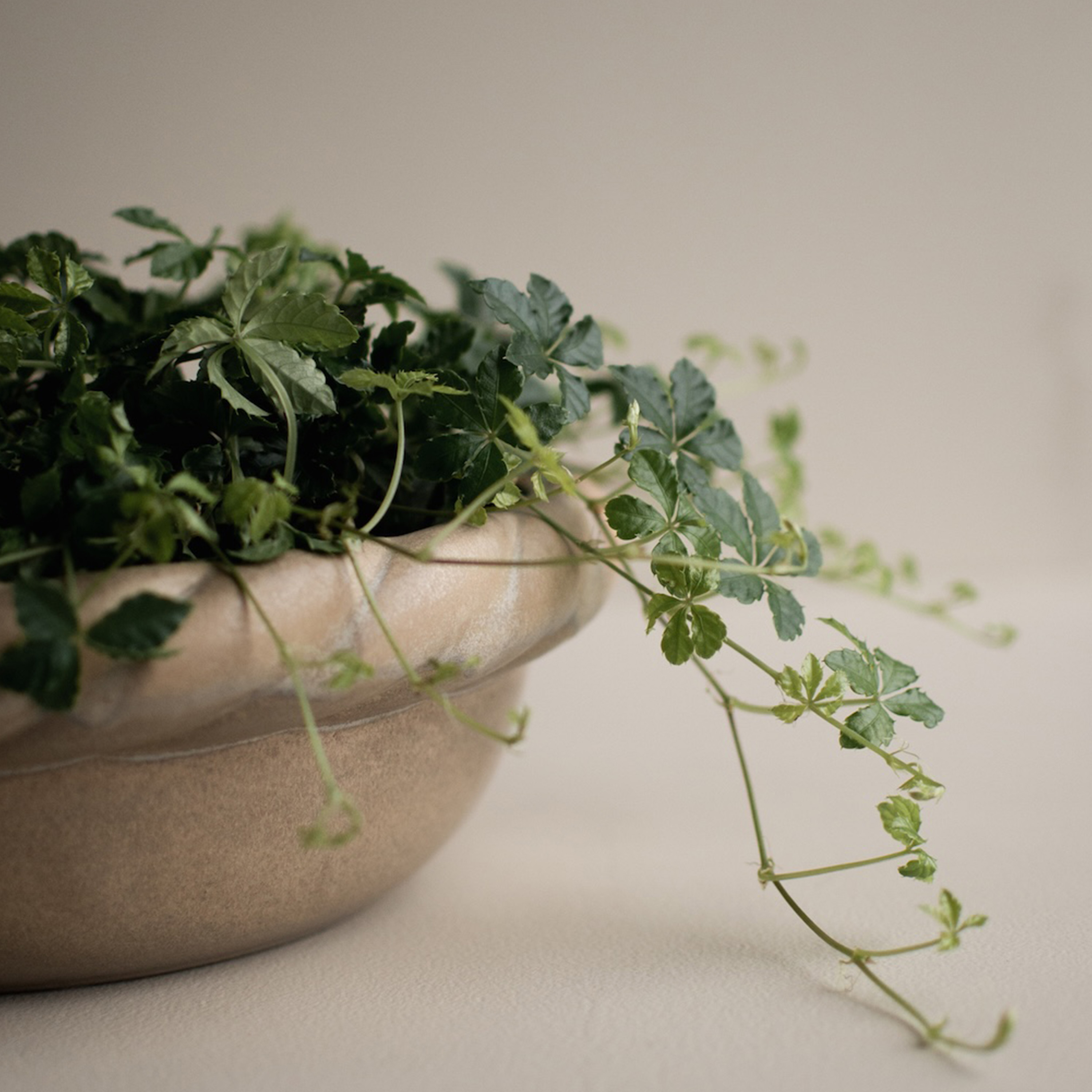 DBKD Twine Kulho Beige Ø30