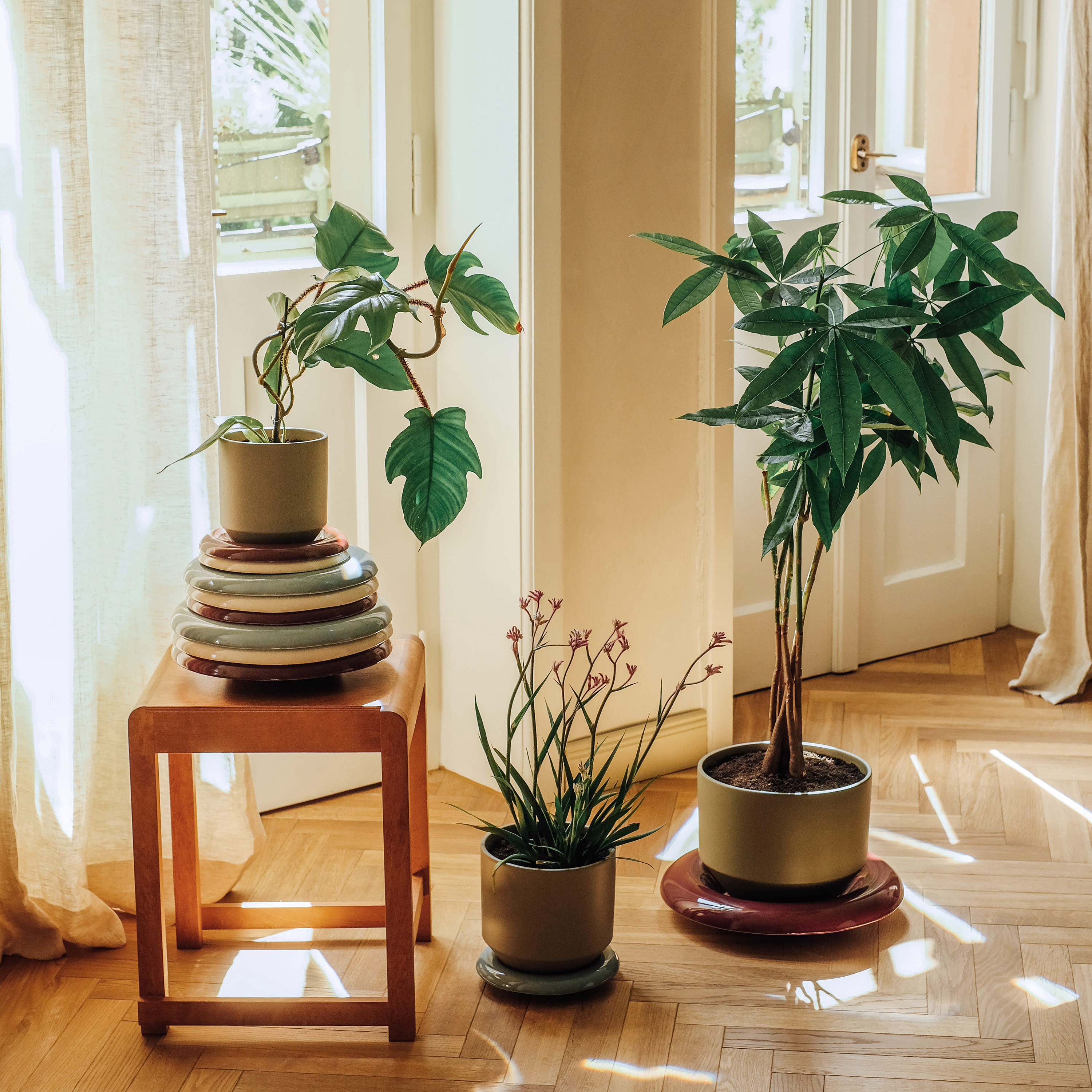 Bergs Potter Lily Untersetzer glasiert Deep Burgundy Ø21