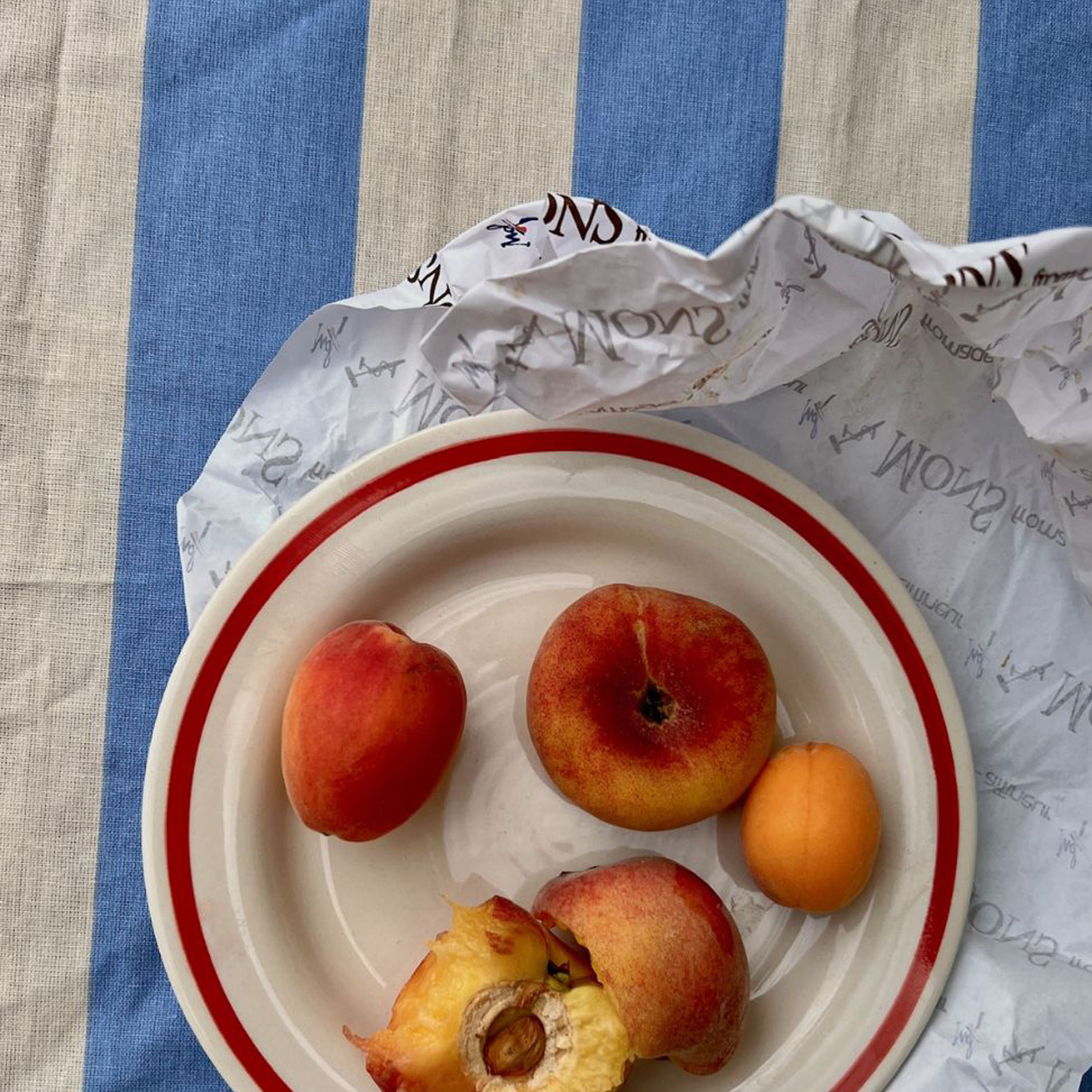 Midnatt Franka Pöytäliina 145x250