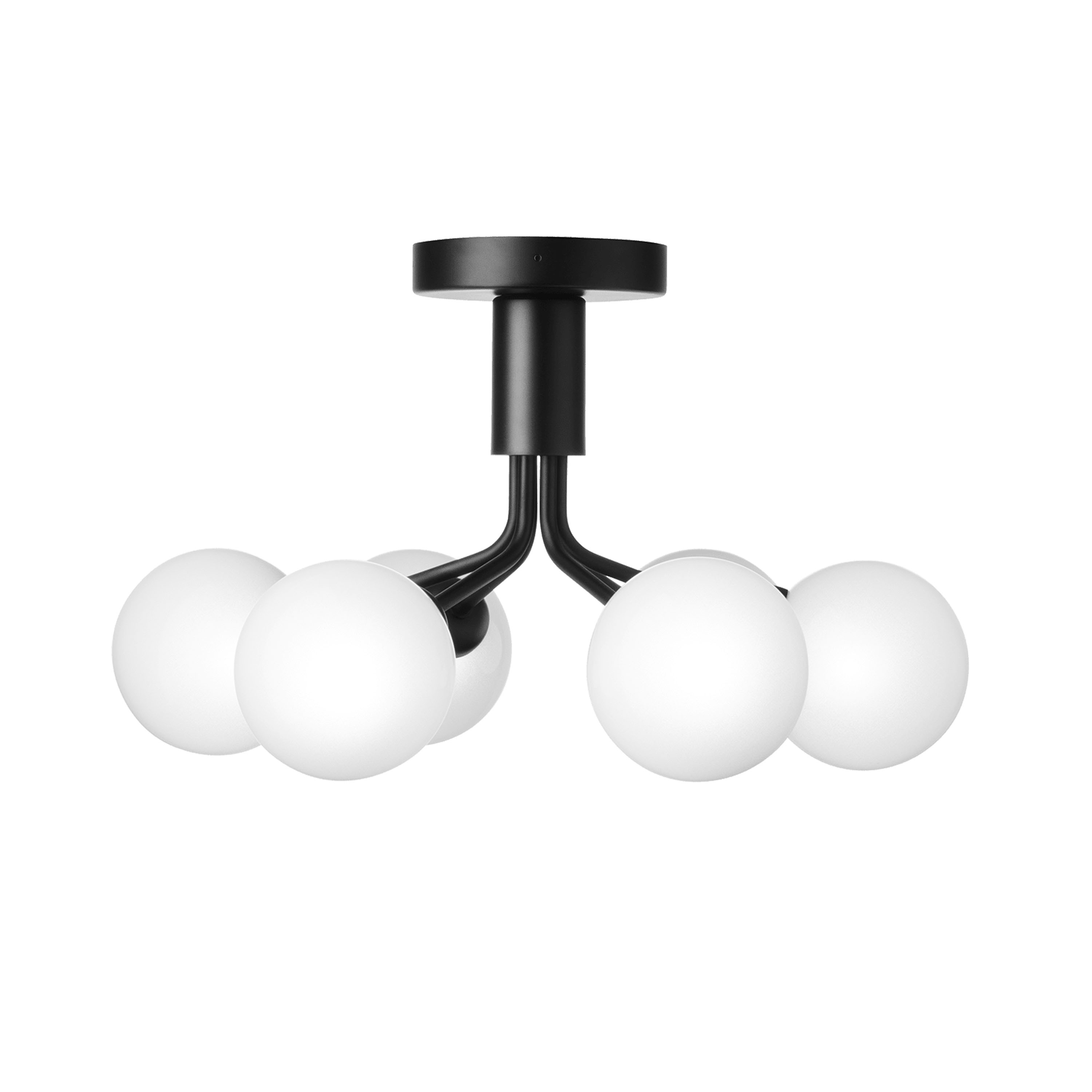 Apiales 6 Plafond Satin Black/Opal