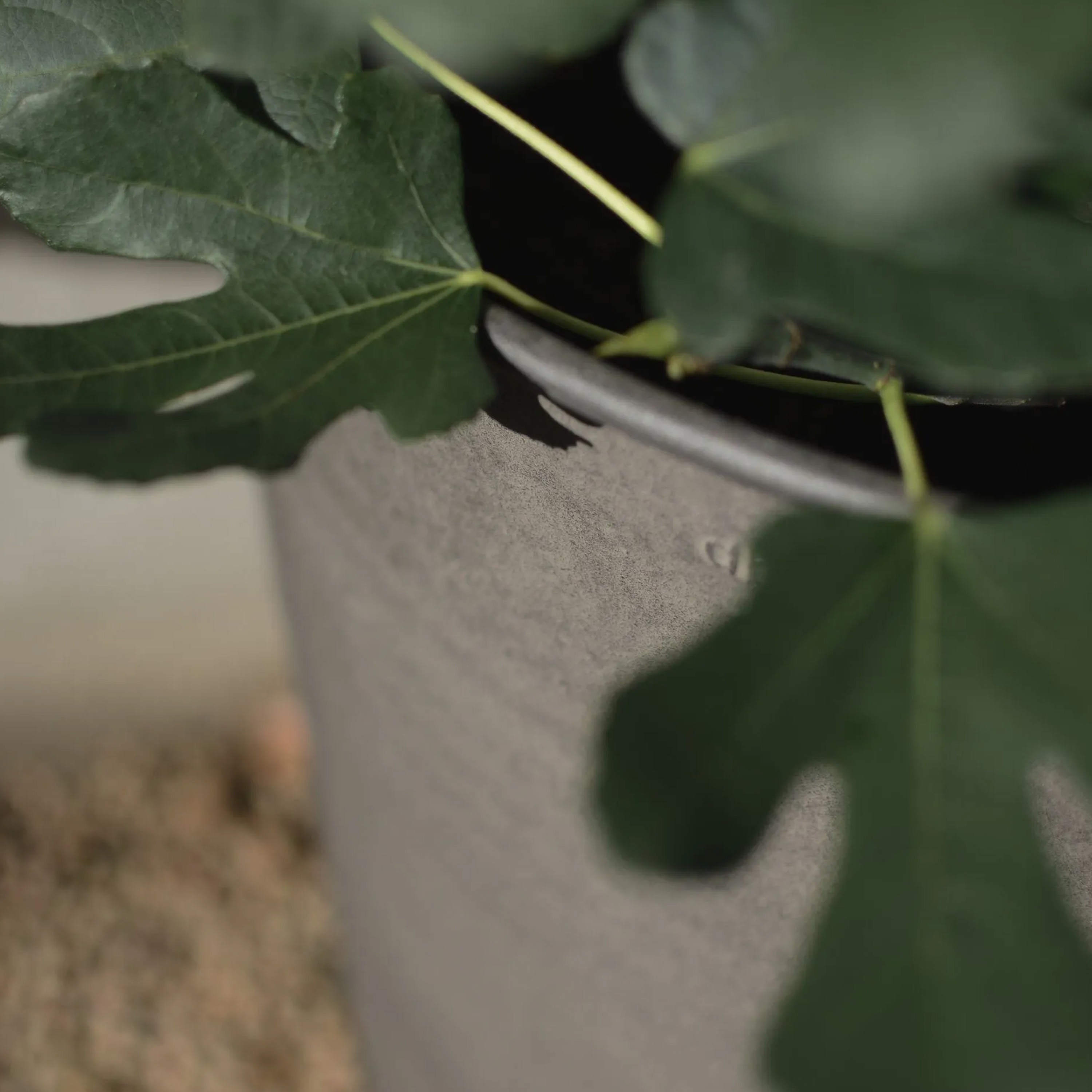 DBKD Out Gryte Beige 3-pakning