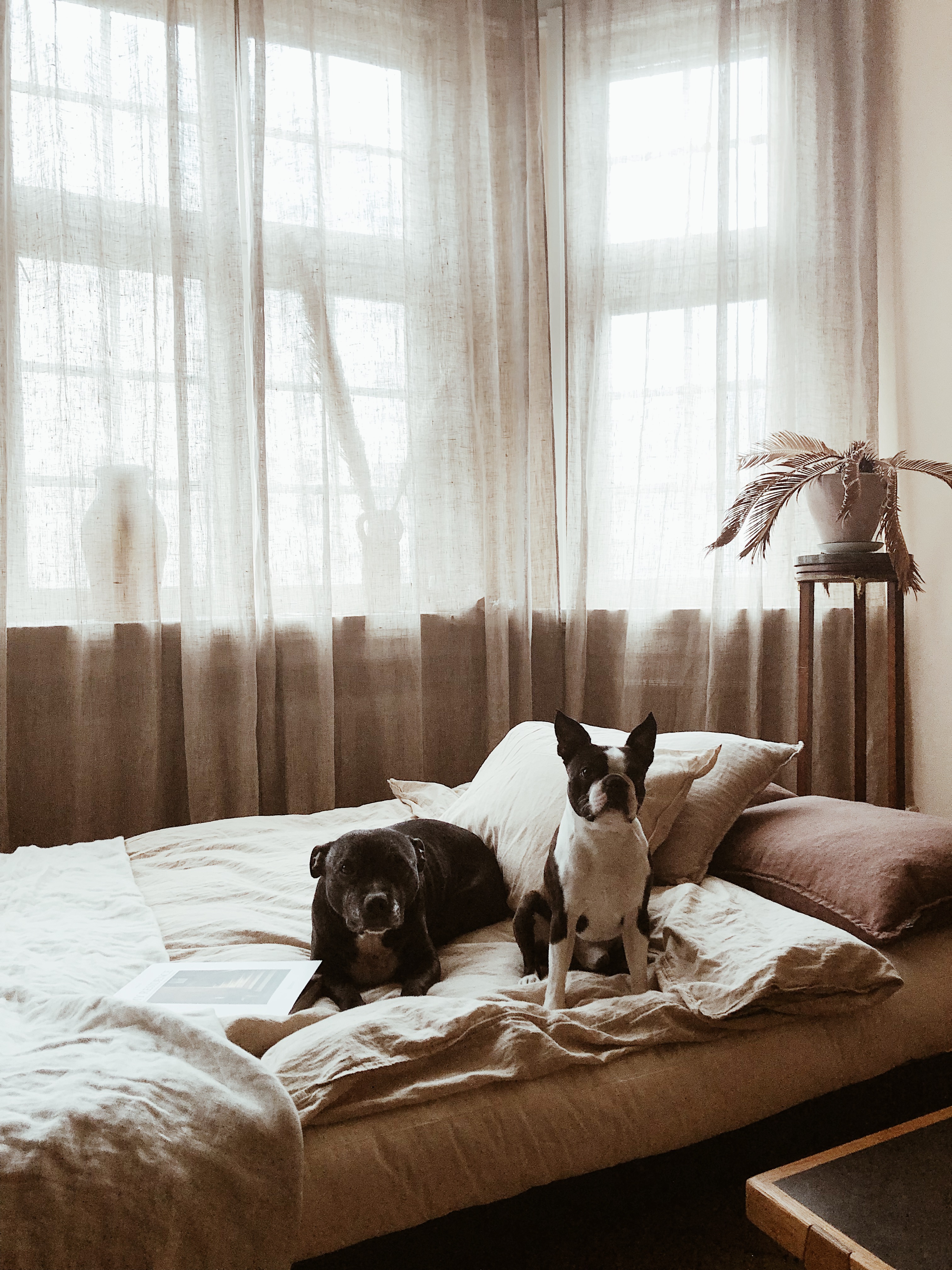 Karup Design Fresh Vuodesohva Luonnollinen/Mokka 200 cm