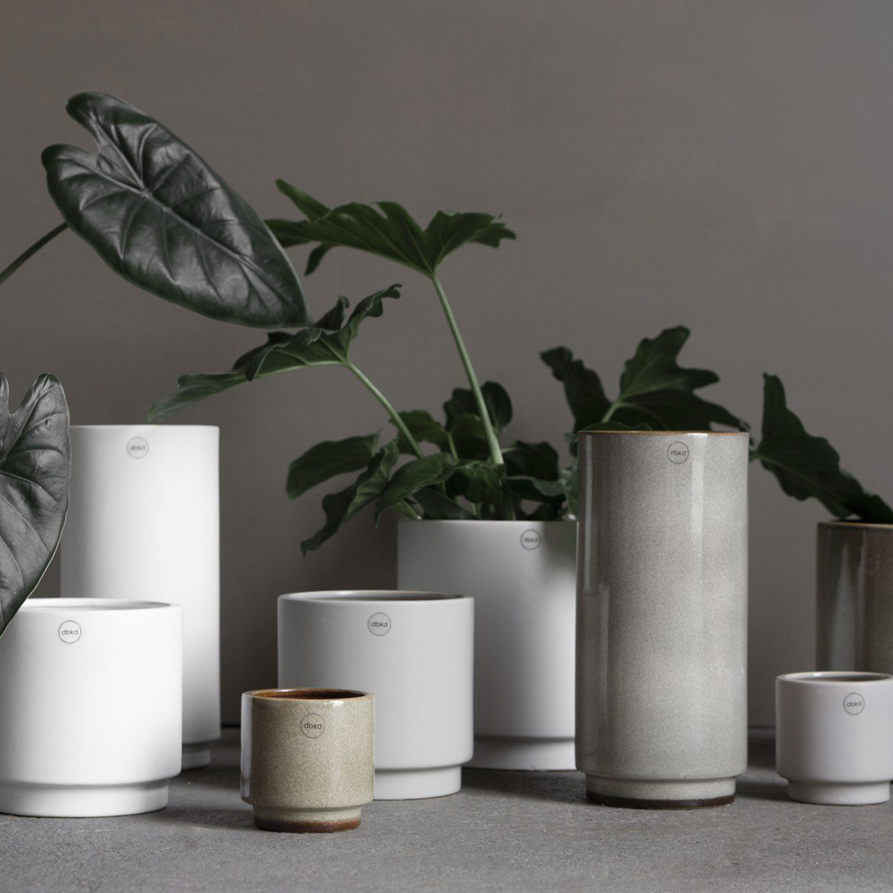 DBKD Solid Kruka White Large